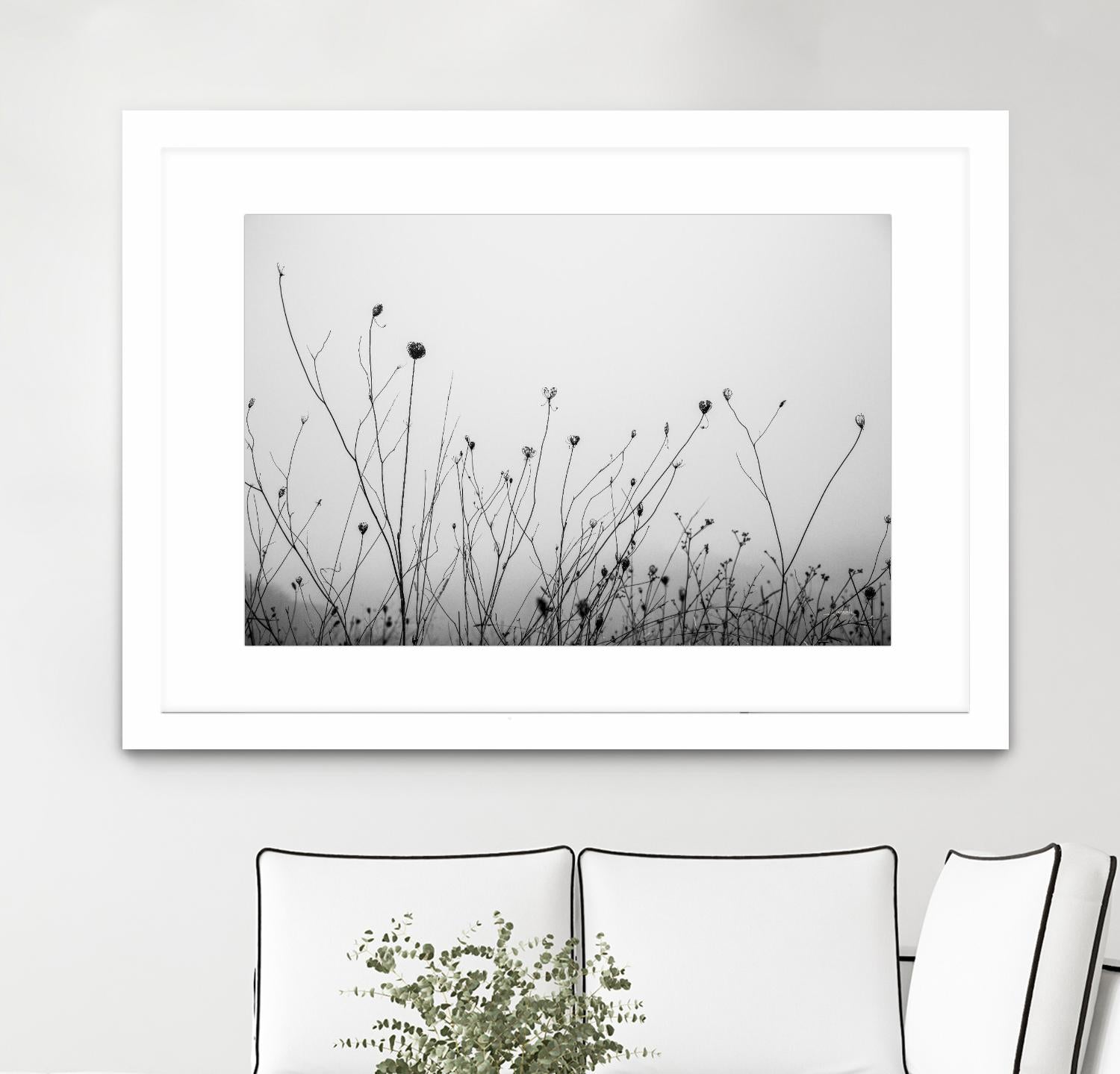 Autumn Grasses by Aledanda on GIANT ART - black & white flowers stems