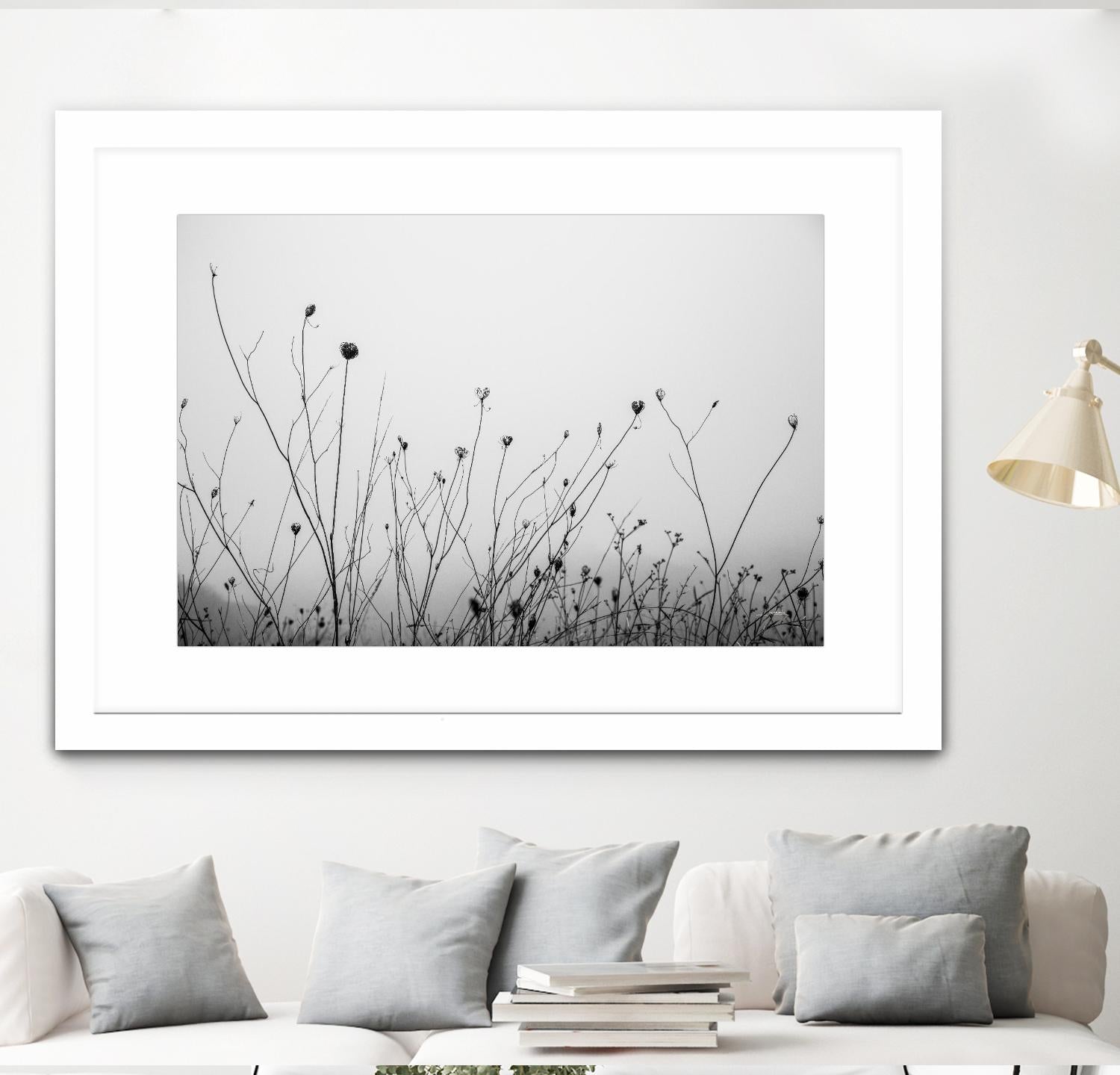 Autumn Grasses by Aledanda on GIANT ART - black & white flowers stems