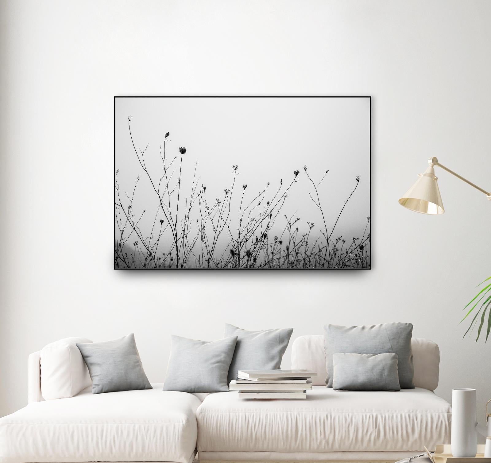 Autumn Grasses by Aledanda on GIANT ART - photography autumn