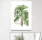 Riviera Palms II by Studio on GIANT ART - green tropical