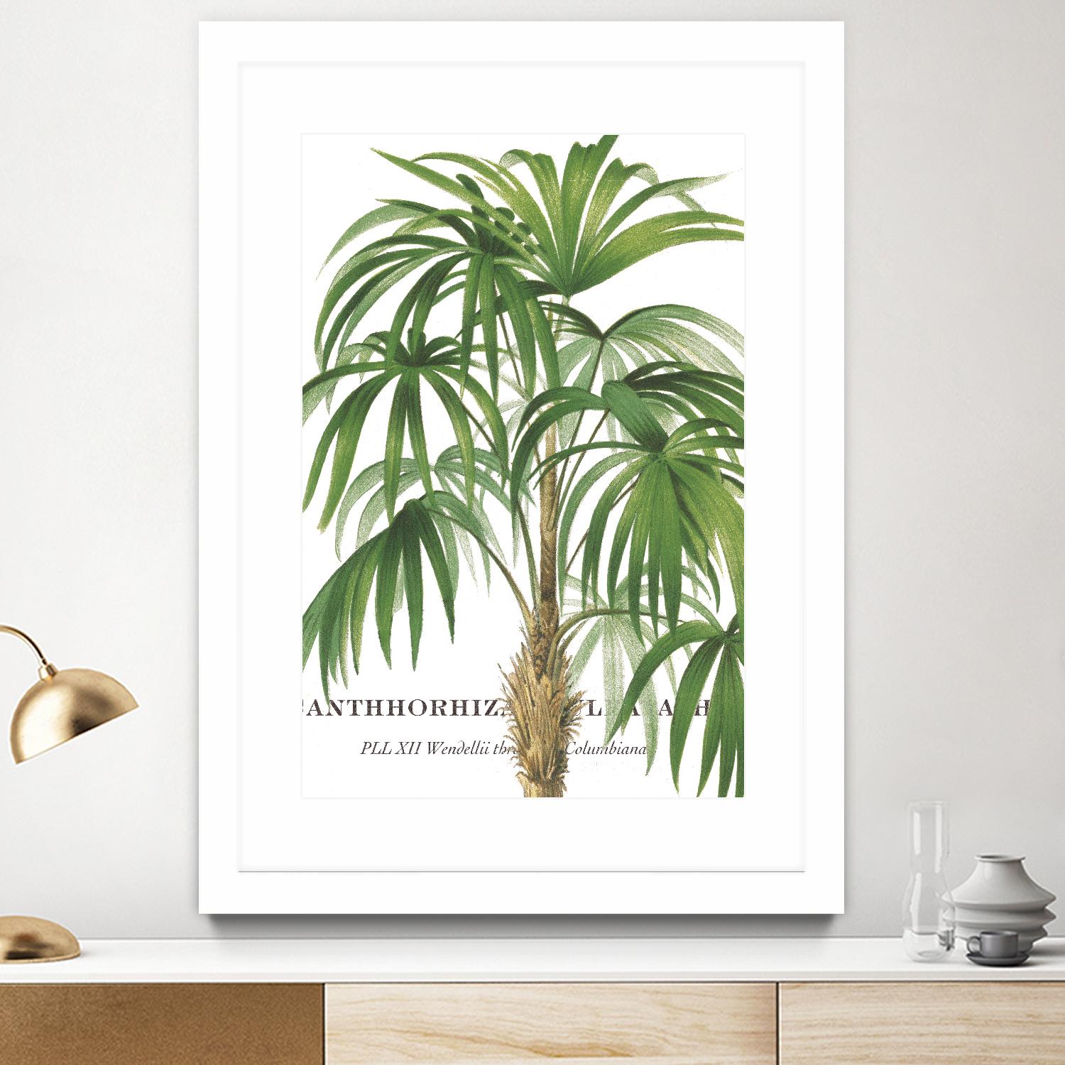 Riviera Palms II by Studio on GIANT ART - green tropical