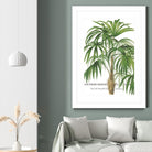 Riviera Palms II by Studio on GIANT ART - green tropical