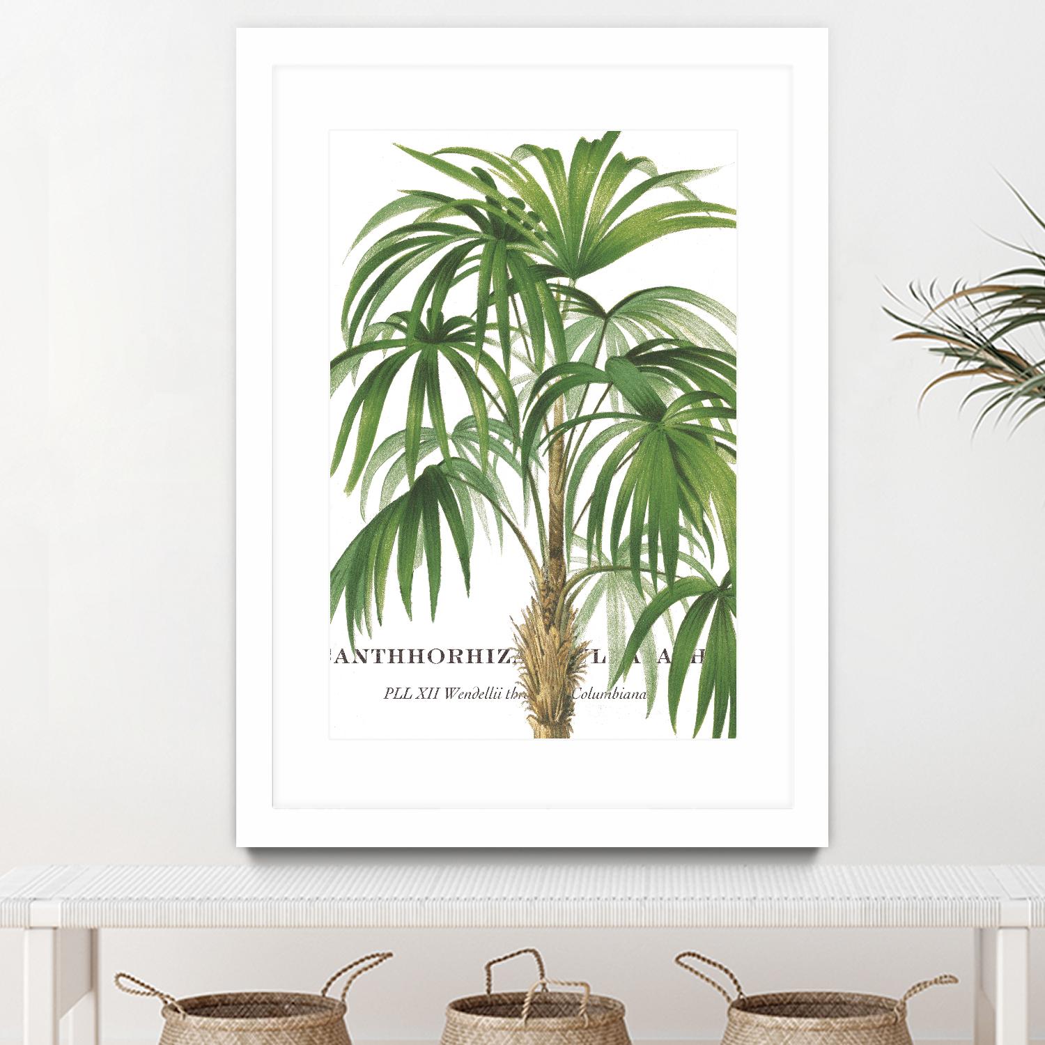 Riviera Palms II by Studio on GIANT ART - green tropical