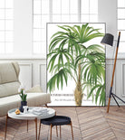 Riviera Palms II by Studio on GIANT ART - green tropical