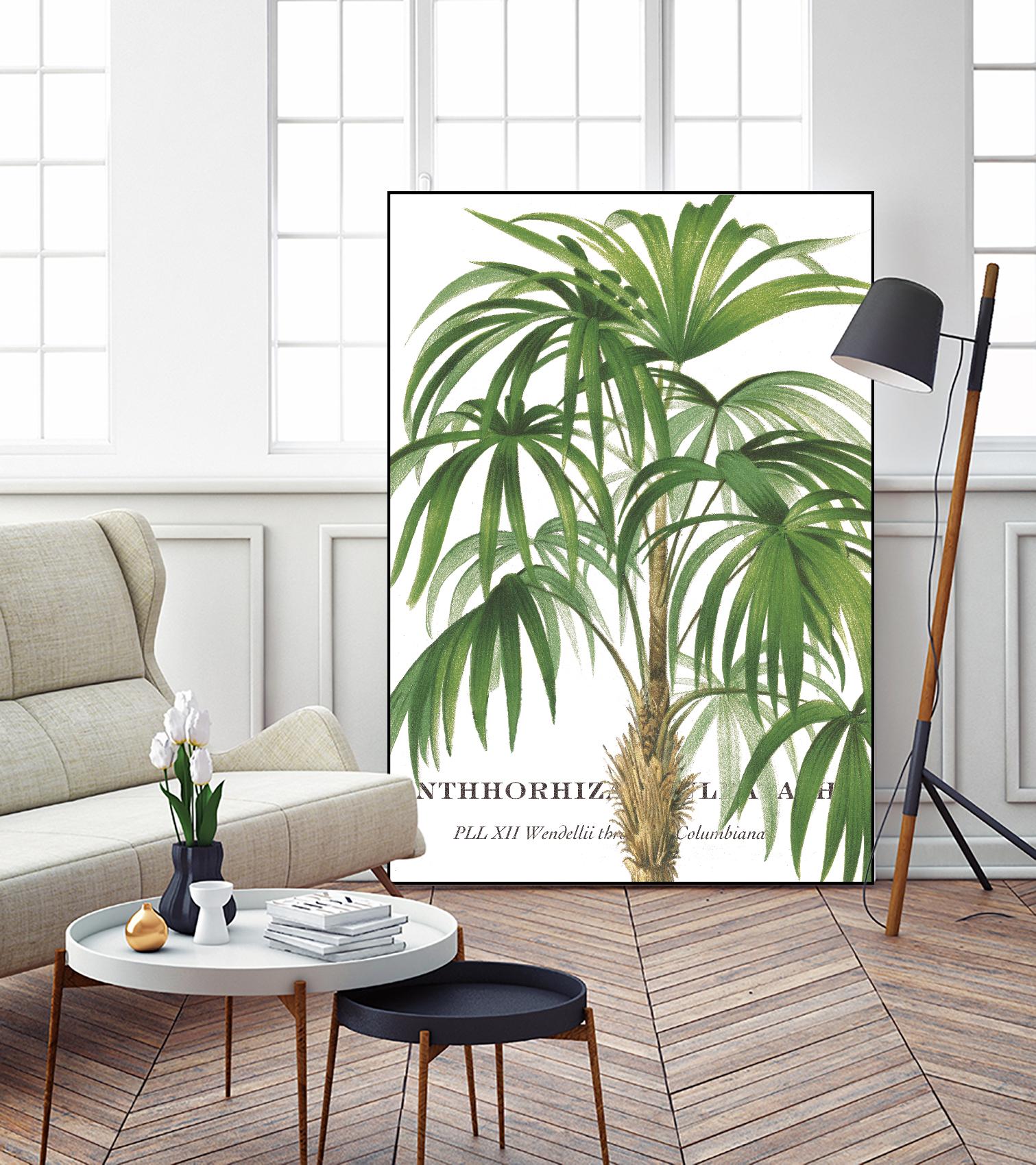 Riviera Palms II by Studio on GIANT ART - green tropical