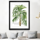 Riviera Palms II by Studio on GIANT ART - green tropical