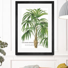 Riviera Palms II by Studio on GIANT ART - green tropical