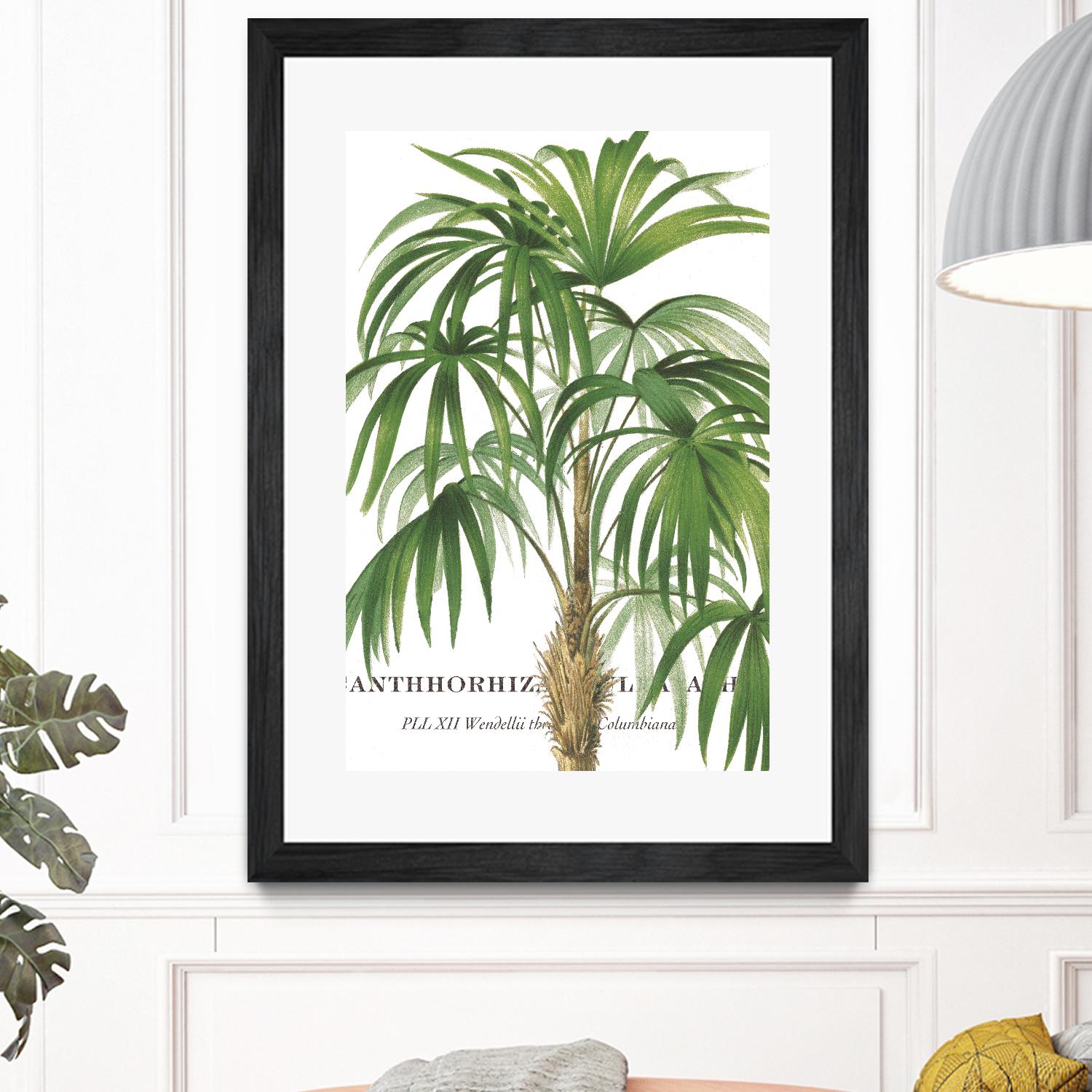 Riviera Palms II by Studio on GIANT ART - green tropical