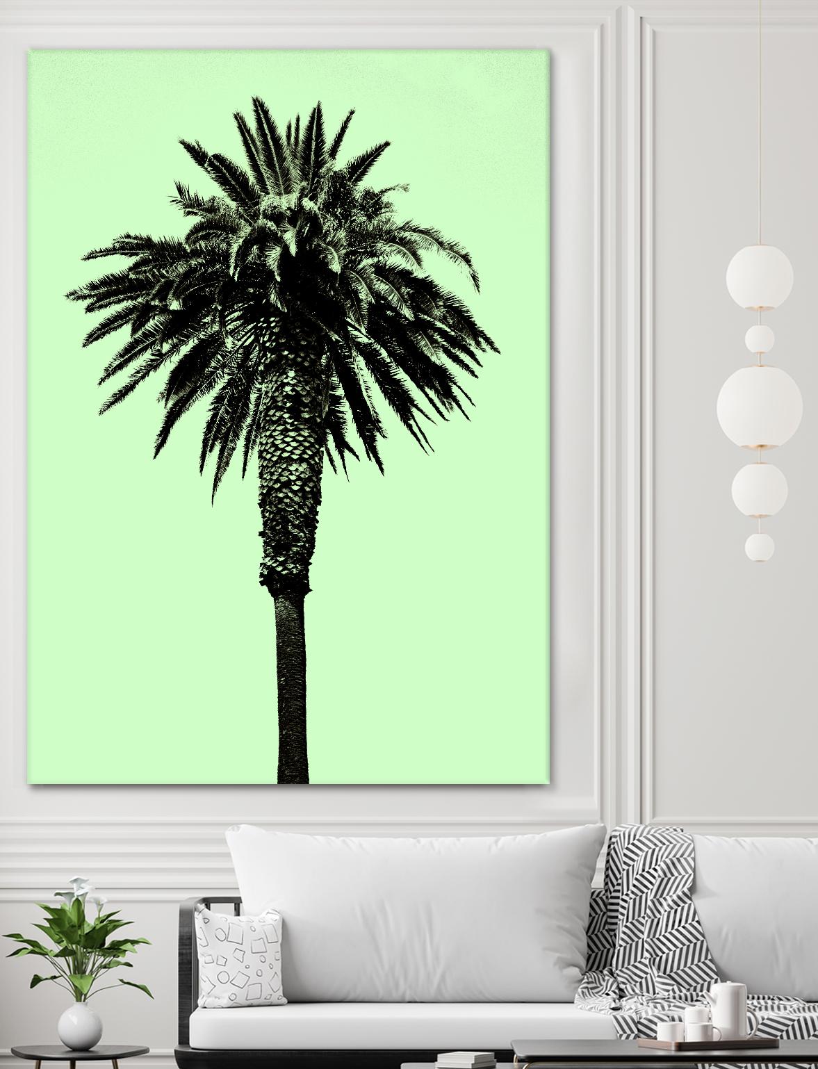 Palm Tree 1996 (Green) by Erik Asla on GIANT ART - multicolor photography; contemporary