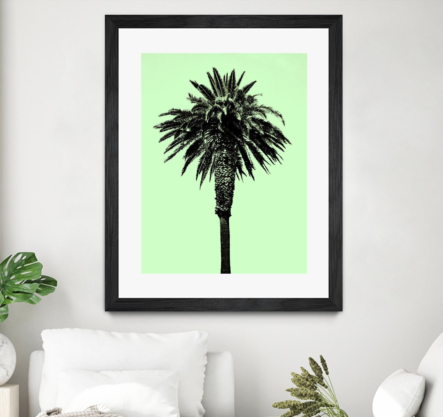 Palm Tree 1996 (Green) by Erik Asla on GIANT ART - multicolor photography; contemporary