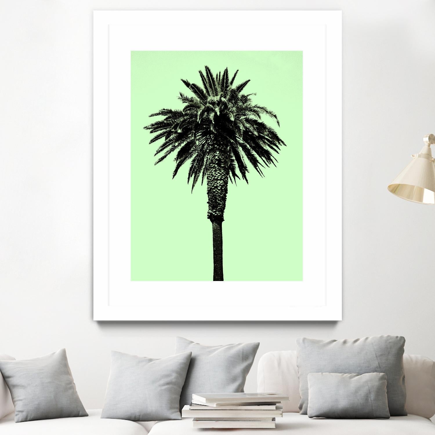 Palm Tree 1996 (Green) by Erik Asla on GIANT ART - multicolor photography; contemporary