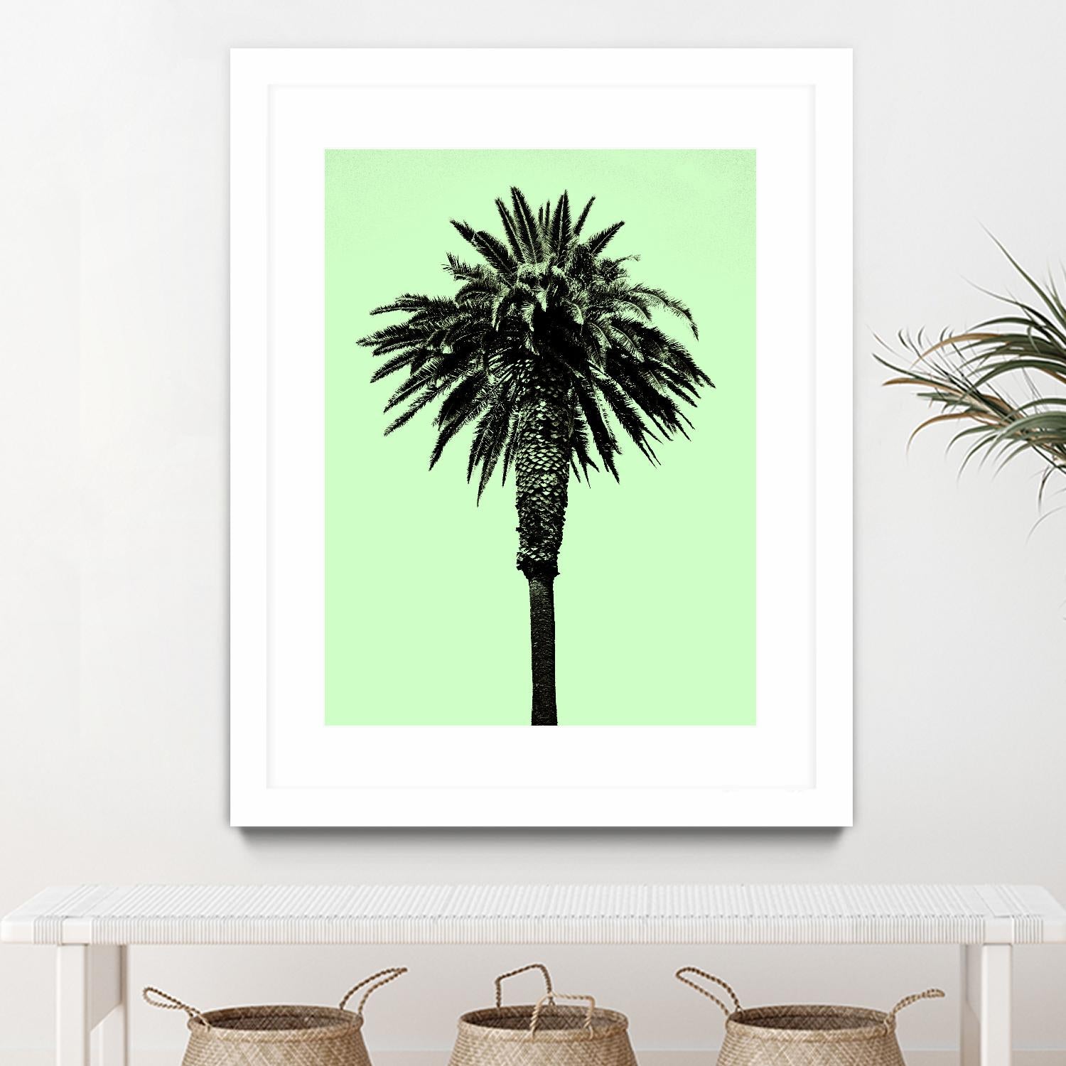 Palm Tree 1996 (Green) by Erik Asla on GIANT ART - multicolor photography; contemporary