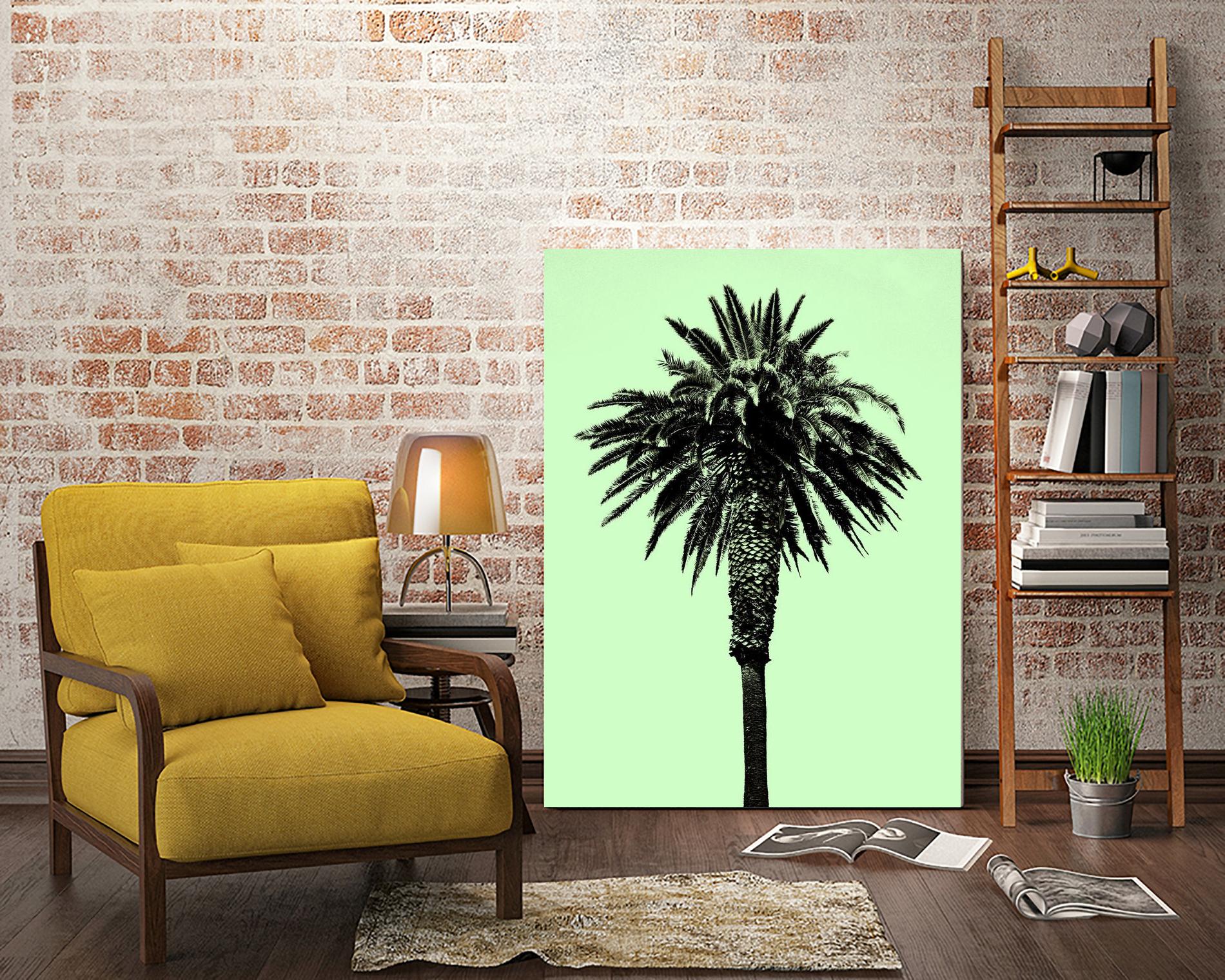 Palm Tree 1996 (Green) by Erik Asla on GIANT ART - multicolor photography; contemporary