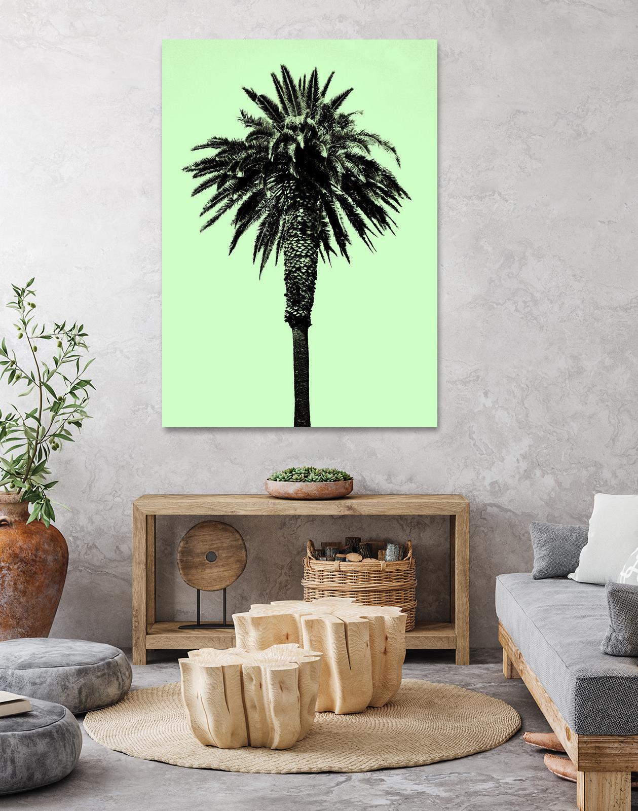 Palm Tree 1996 (Green) by Erik Asla on GIANT ART - multicolor photography; contemporary