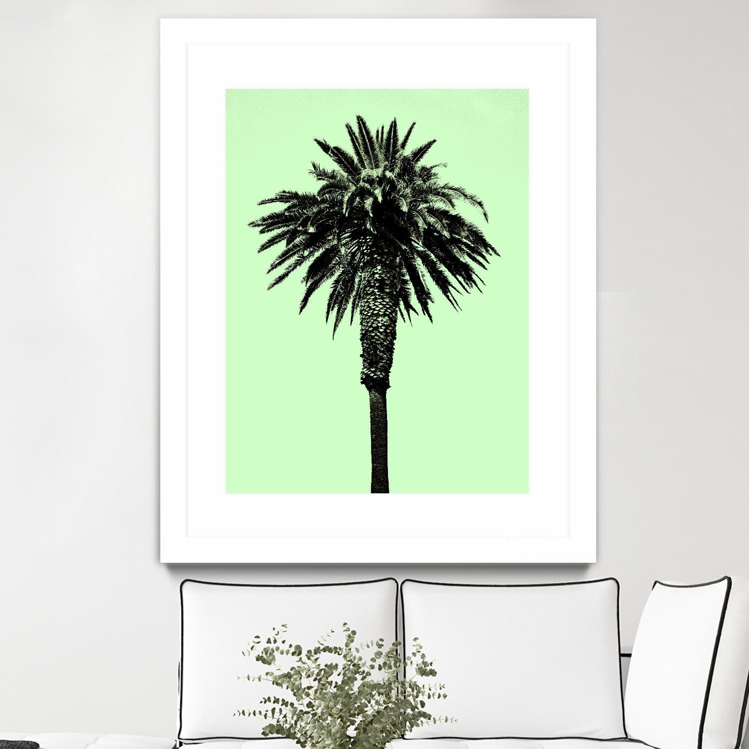 Palm Tree 1996 (Green) by Erik Asla on GIANT ART - multicolor photography; contemporary