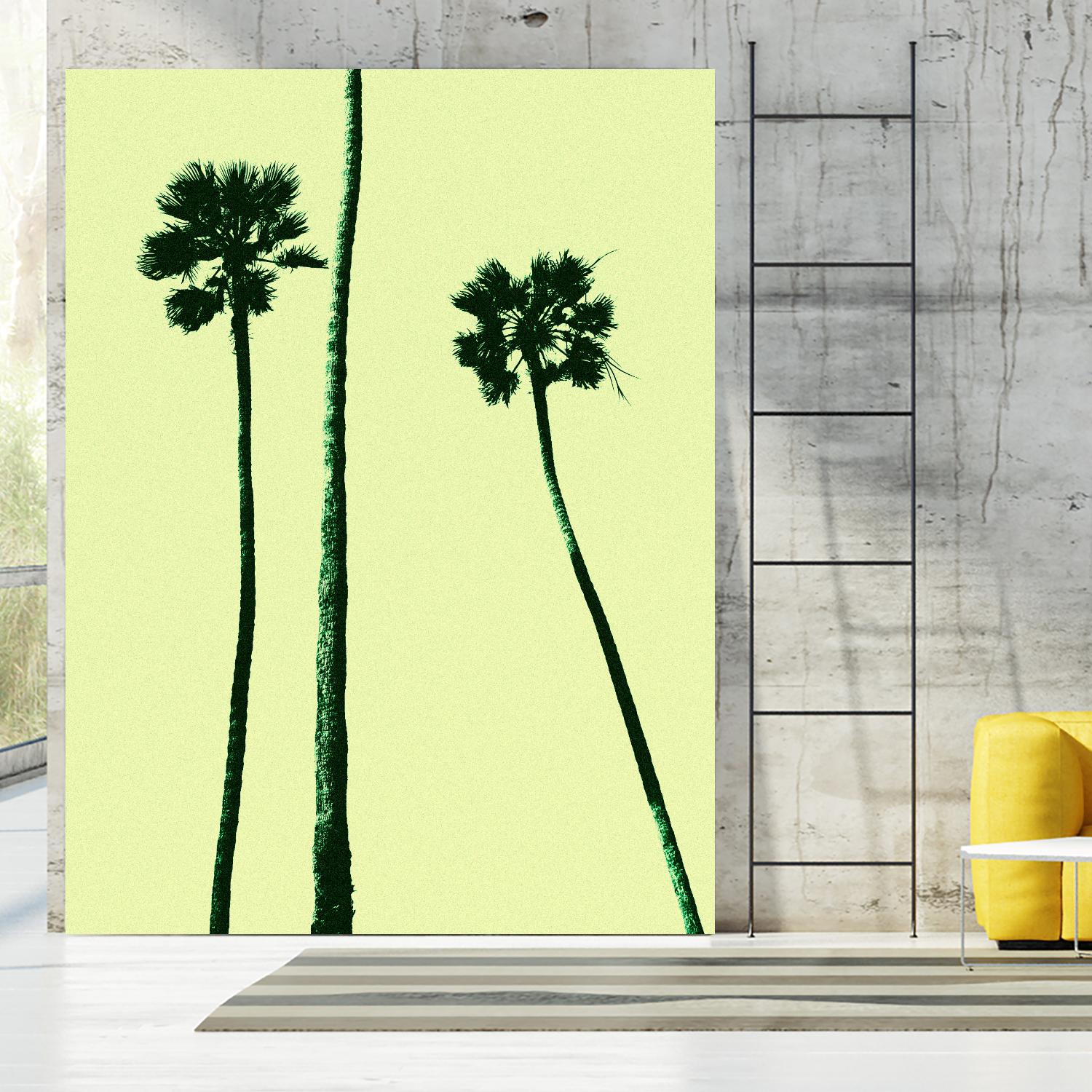 Palm Trees 2000 (Cyan) by Erik Asla on GIANT ART - multicolor photography; contemporary