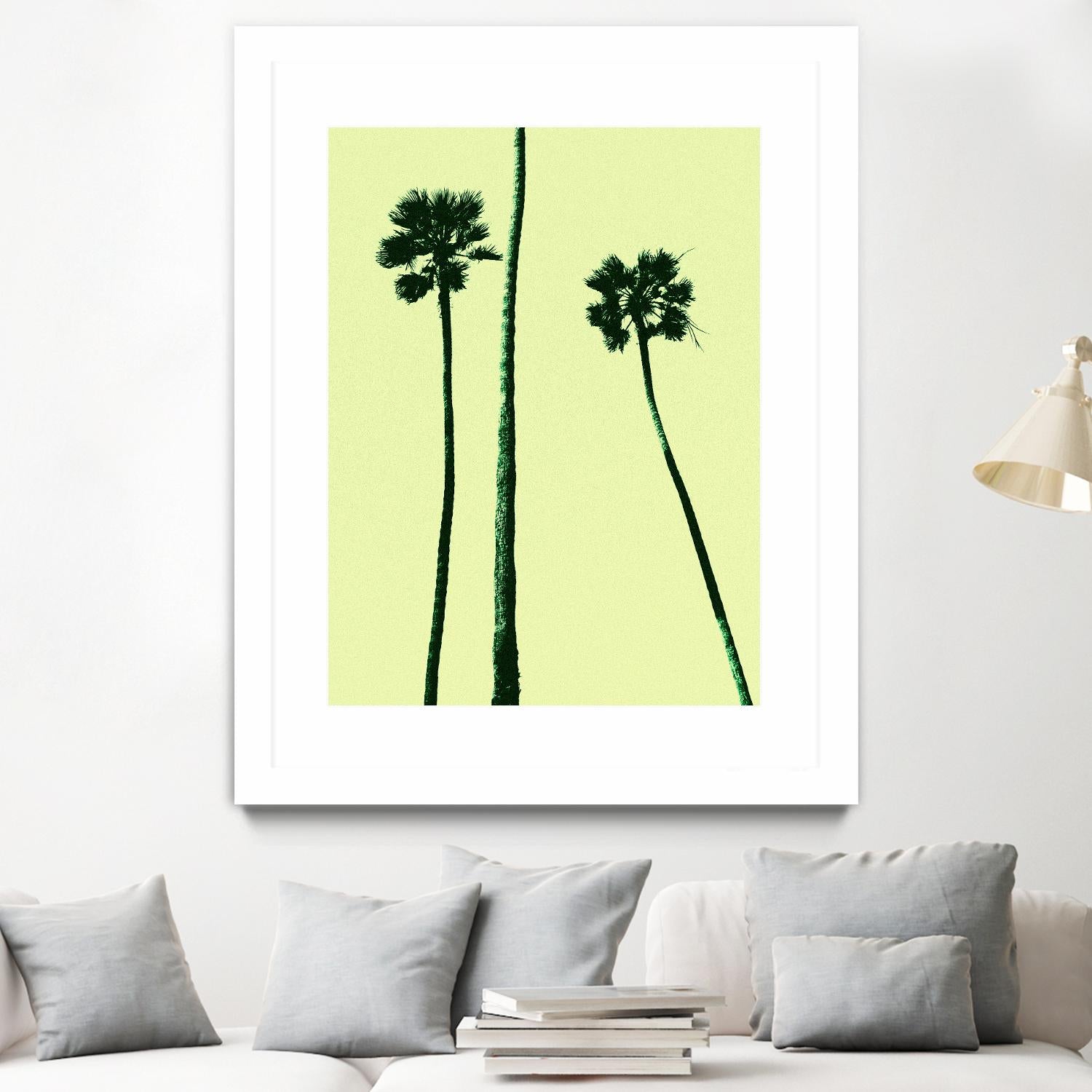 Palm Trees 2000 (Cyan) by Erik Asla on GIANT ART - multicolor photography; contemporary