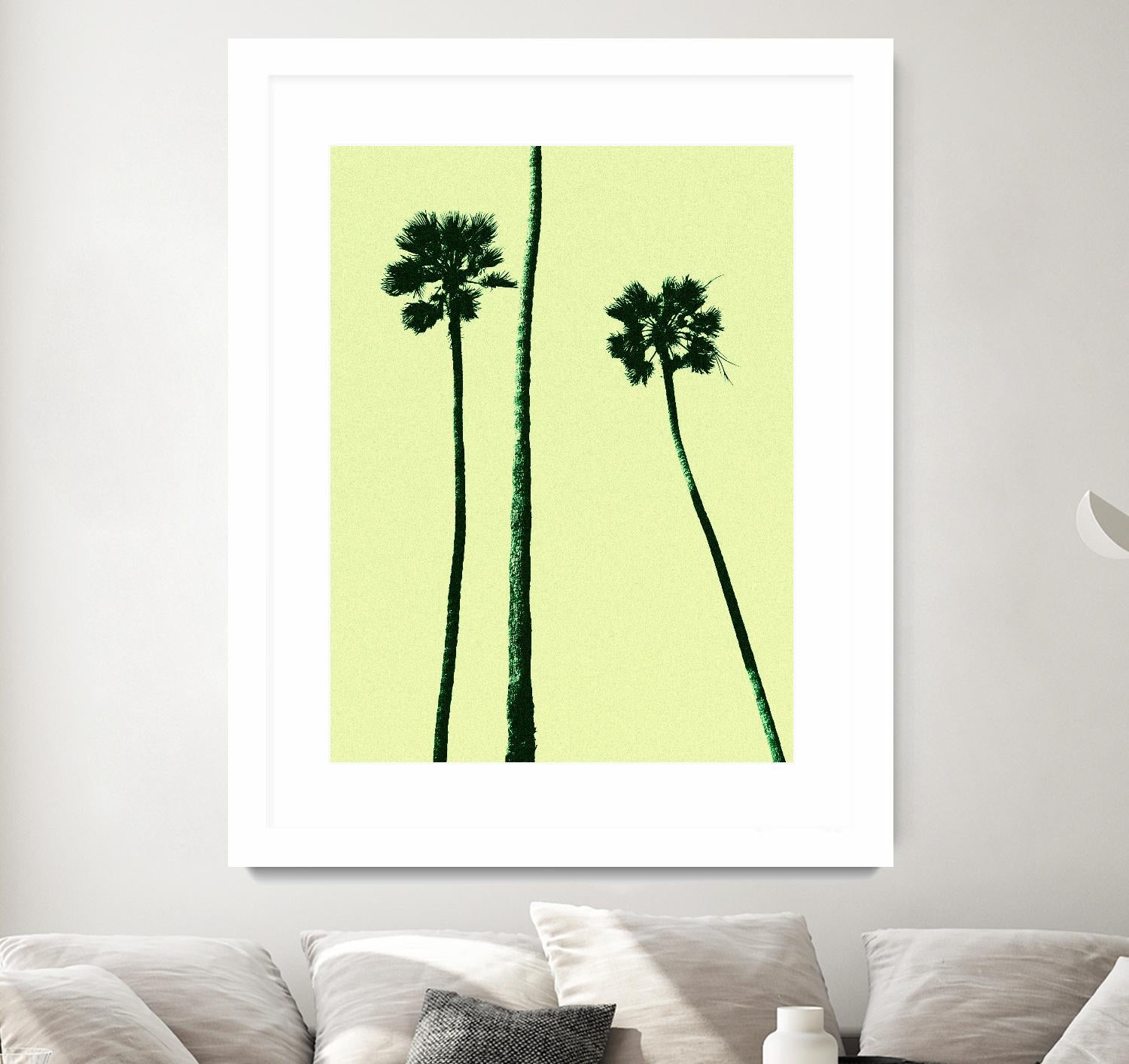 Palm Trees 2000 (Cyan) by Erik Asla on GIANT ART - multicolor photography; contemporary