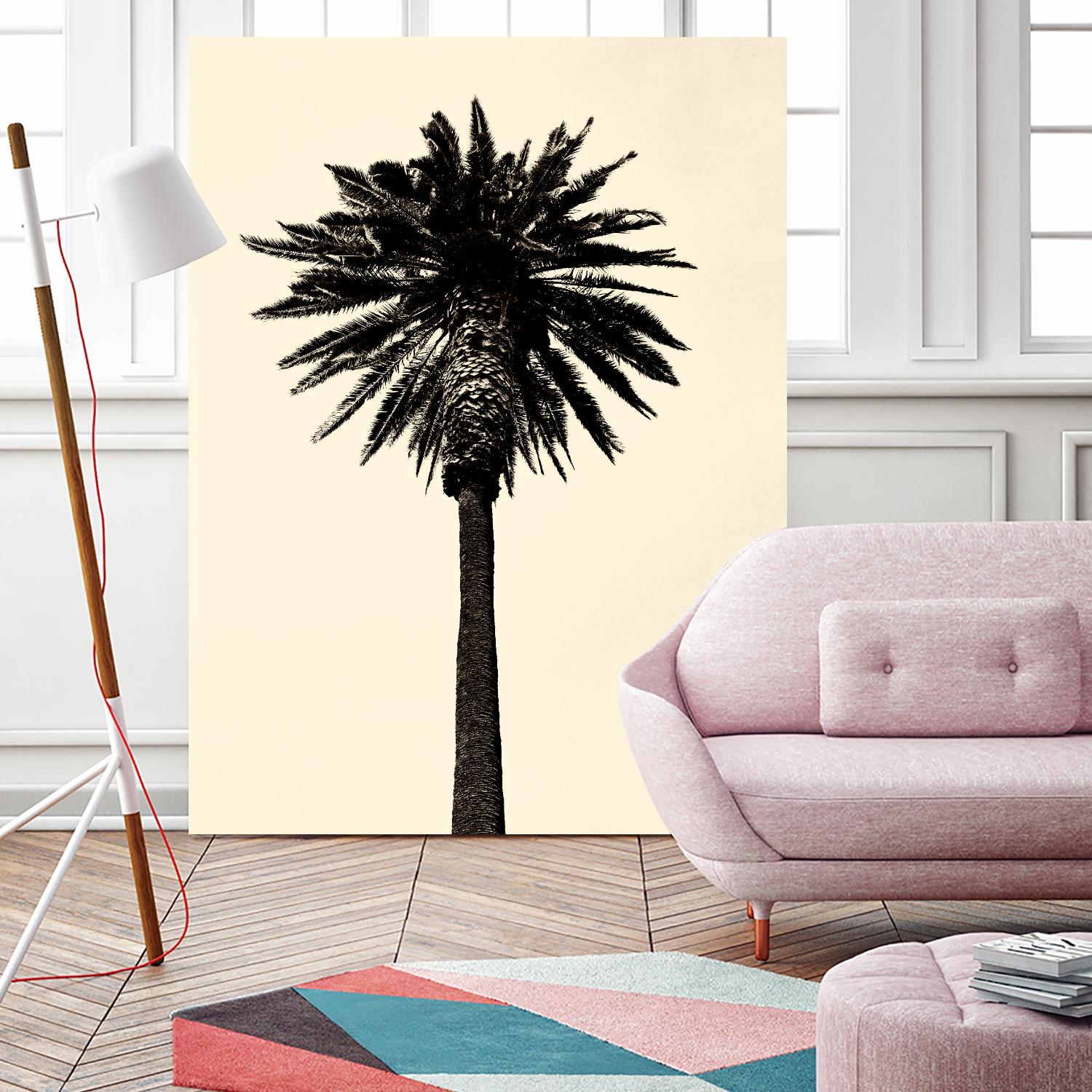 Palm Tree 1979 Tan by Erik Asla on GIANT ART - multicolor photography; contemporary