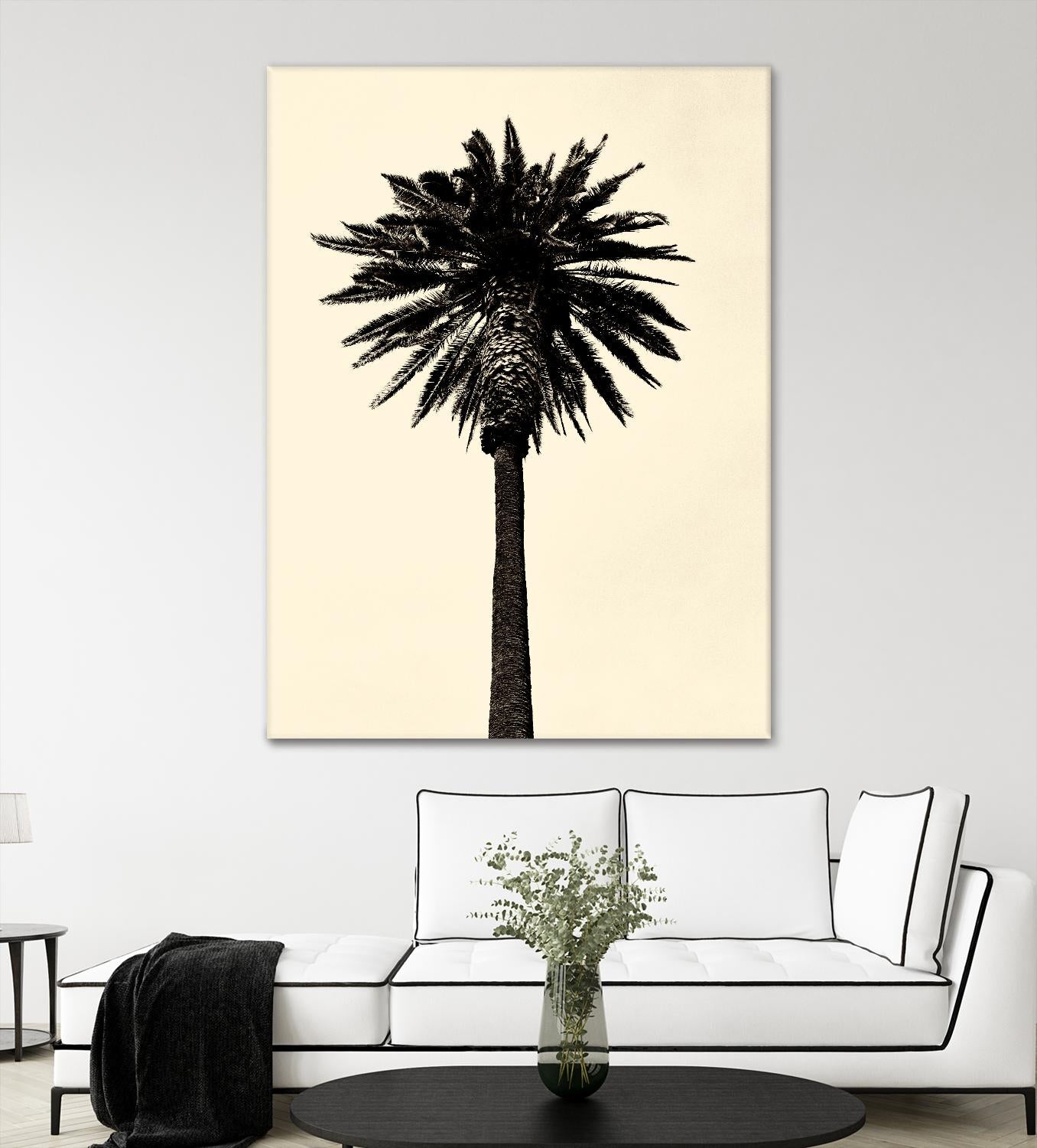 Palm Tree 1979 Tan by Erik Asla on GIANT ART - multicolor photography; contemporary