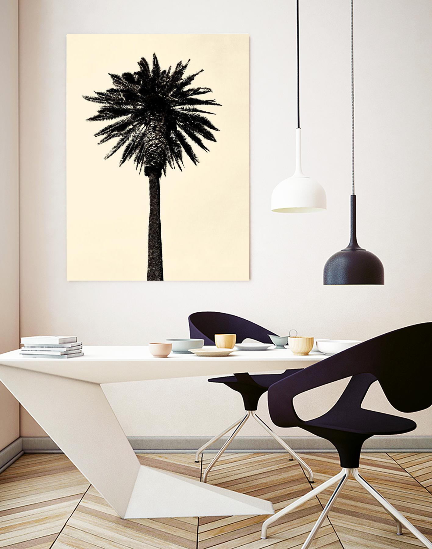 Palm Tree 1979 Tan by Erik Asla on GIANT ART - multicolor photography; contemporary