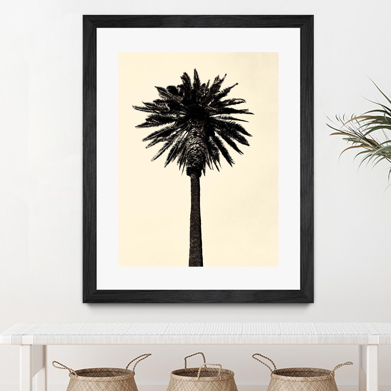 Palm Tree 1979 Tan by Erik Asla on GIANT ART - multicolor photography; contemporary