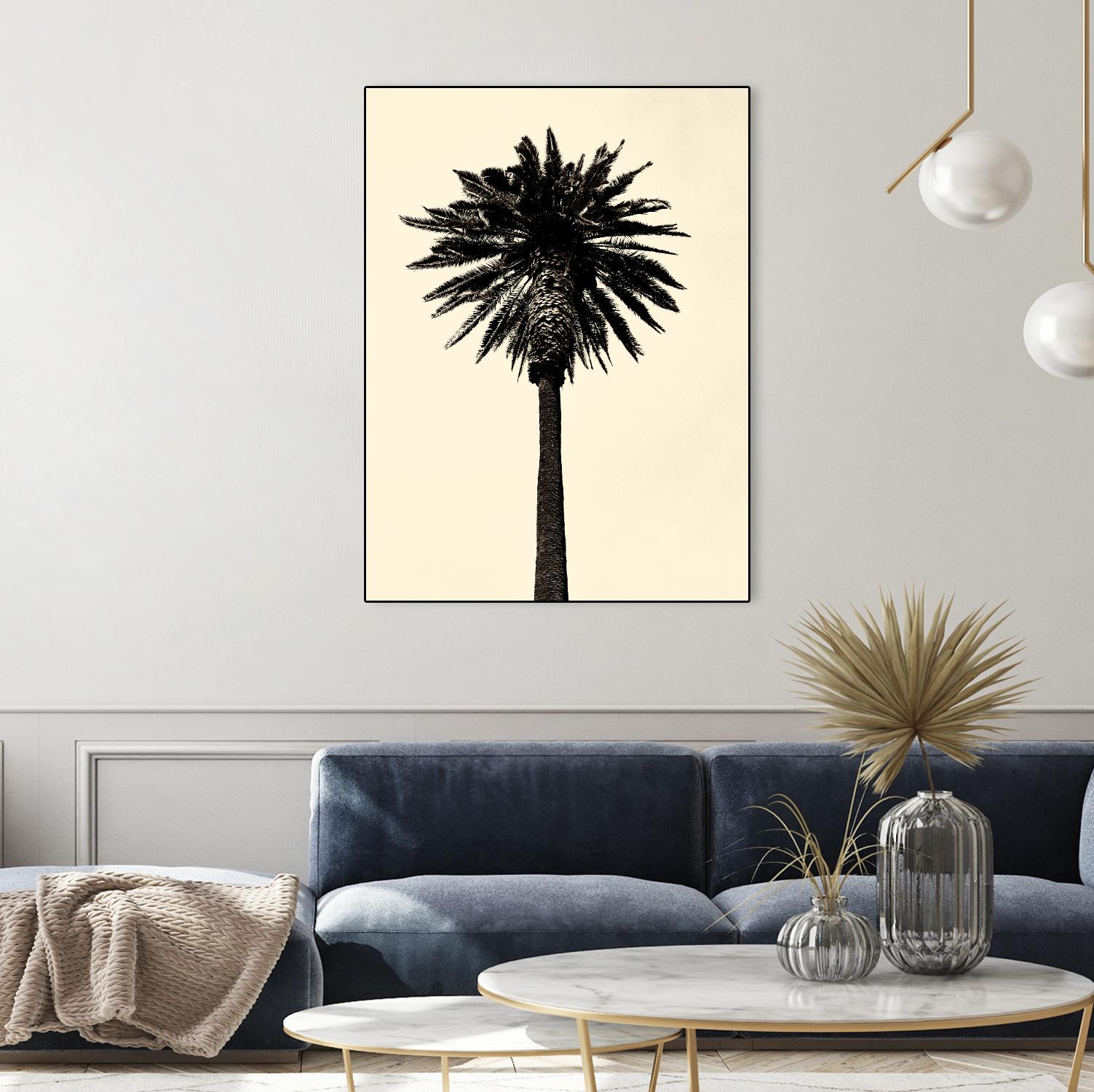 Palm Tree 1979 Tan by Erik Asla on GIANT ART - multicolor photography; contemporary