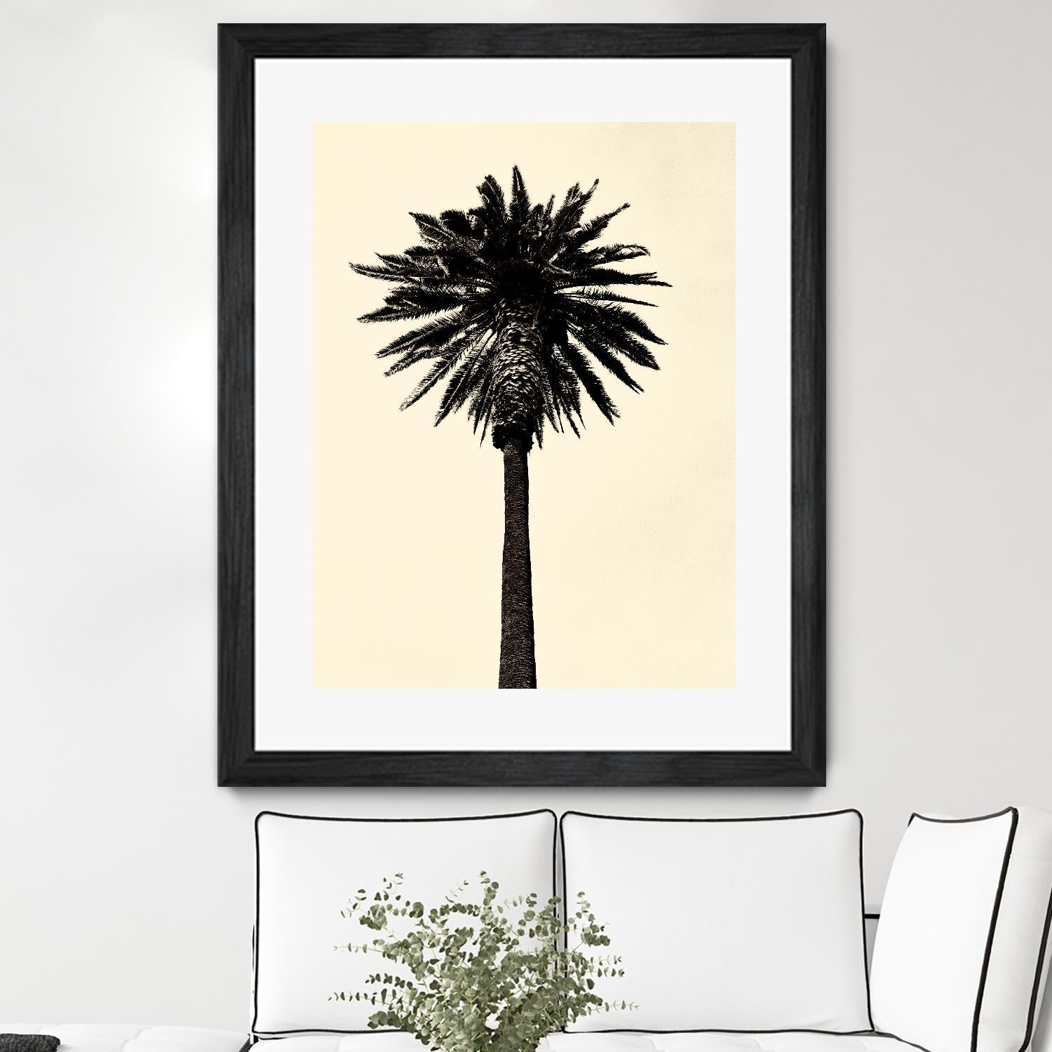 Palm Tree 1979 Tan by Erik Asla on GIANT ART - multicolor photography; contemporary