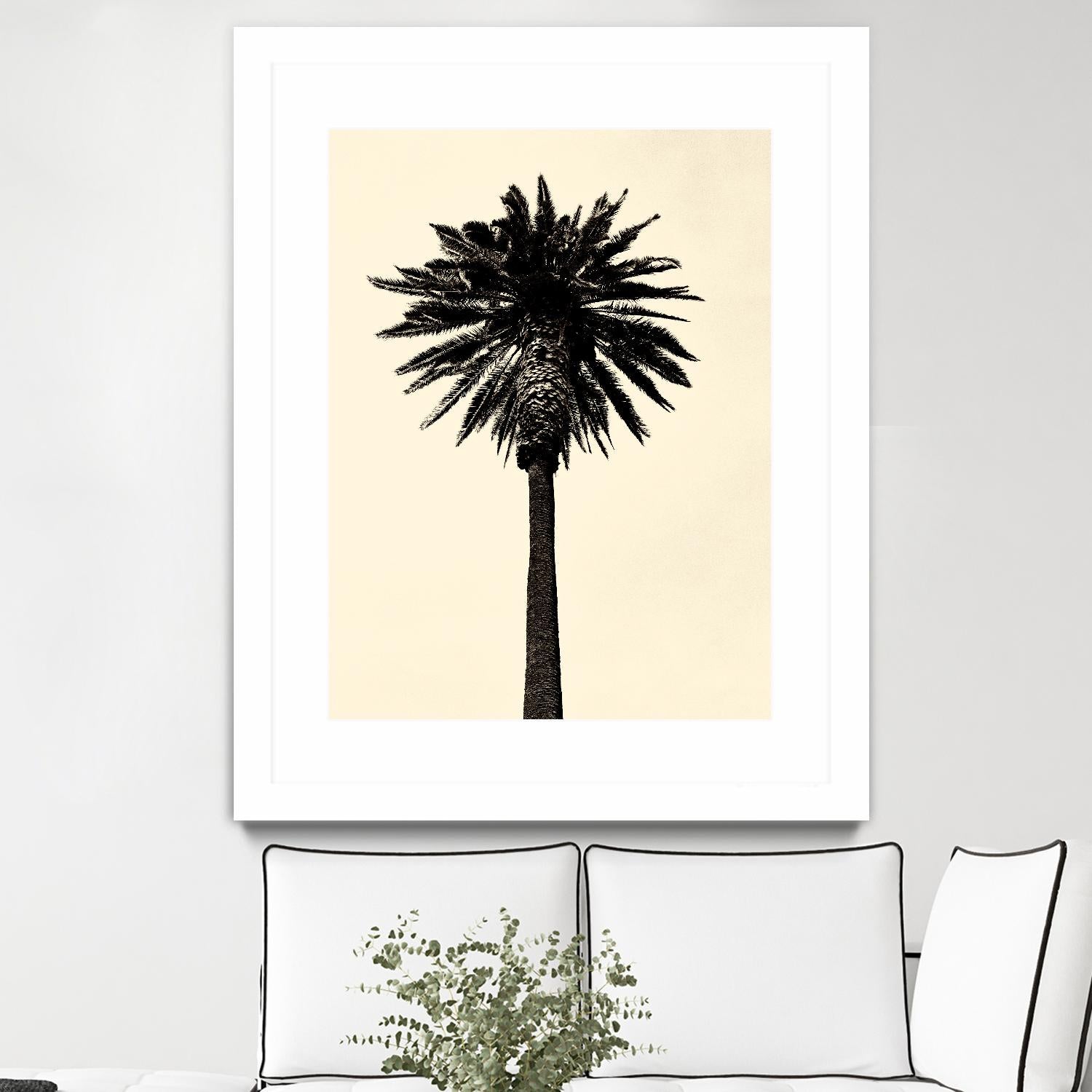 Palm Tree 1979 Tan by Erik Asla on GIANT ART - multicolor photography; contemporary