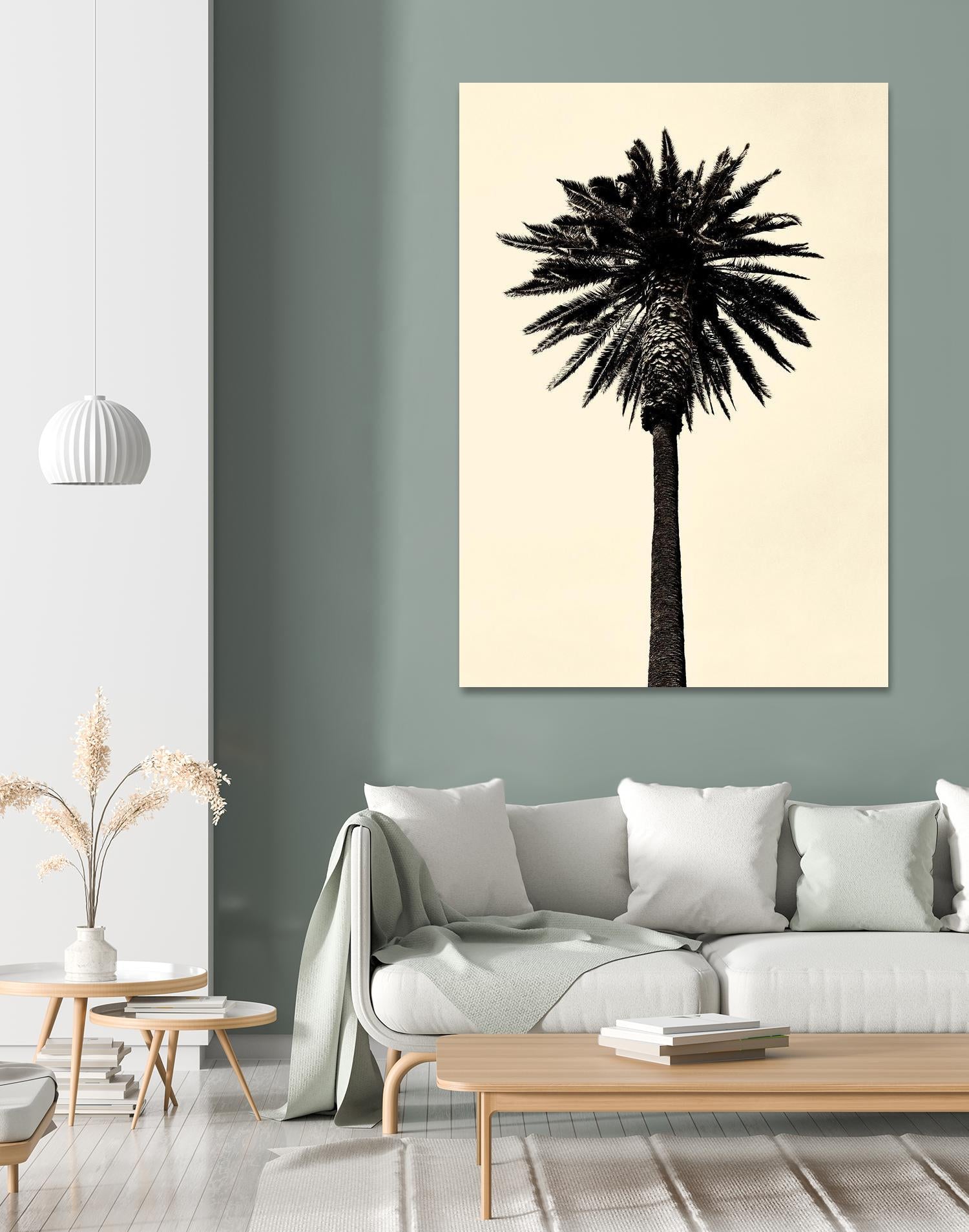 Palm Tree 1979 Tan by Erik Asla on GIANT ART - multicolor photography; contemporary