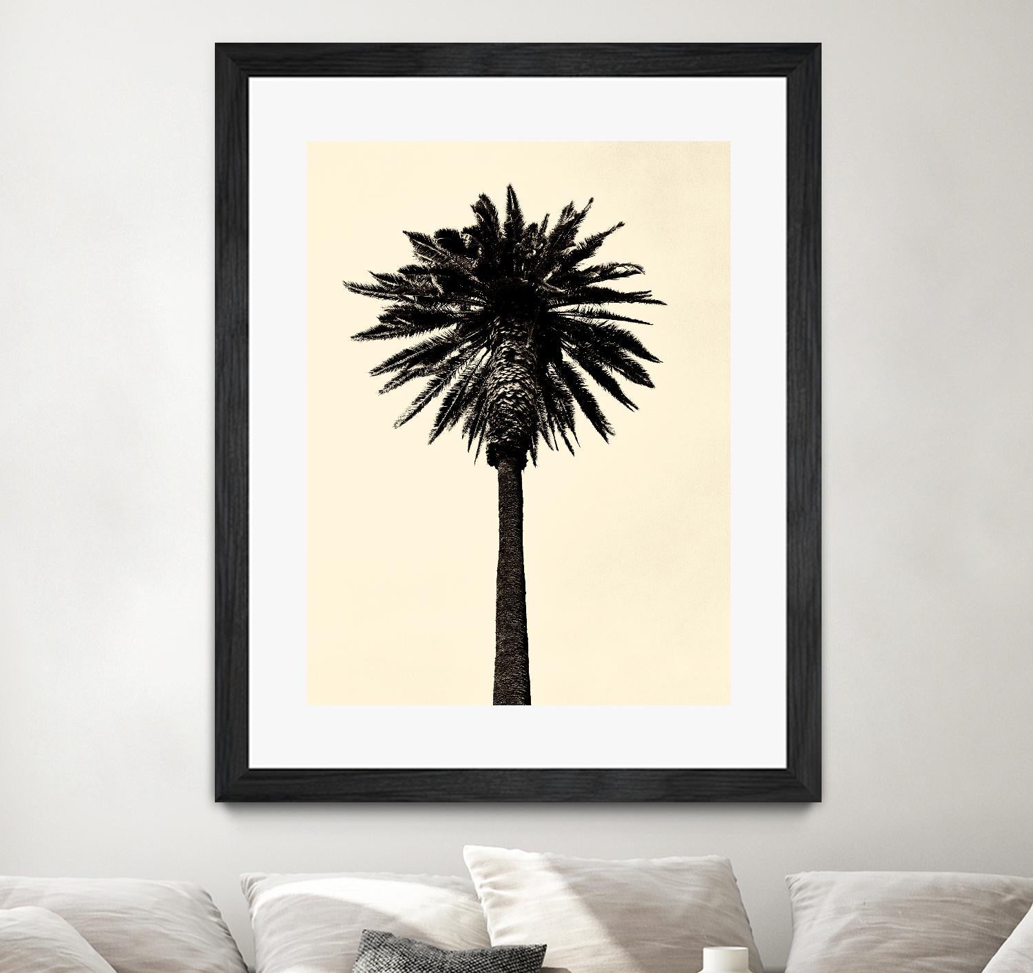 Palm Tree 1979 Tan by Erik Asla on GIANT ART - multicolor photography; contemporary
