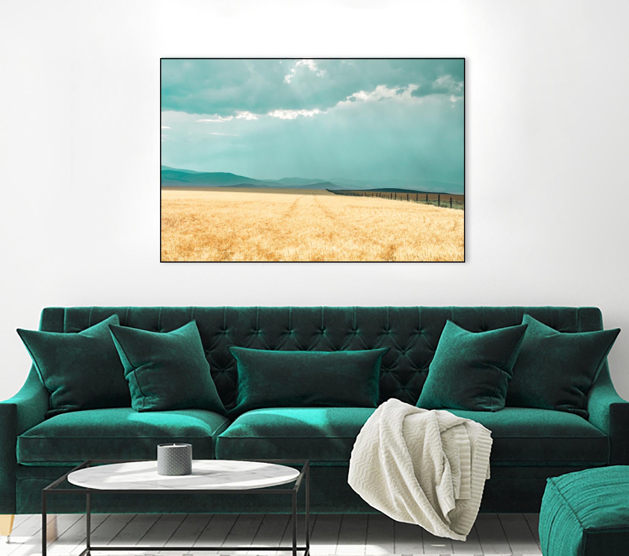 Harvest Shadow by Annie Bailey Art on GIANT ART - blue,beige landscapes, photography, farms, hills