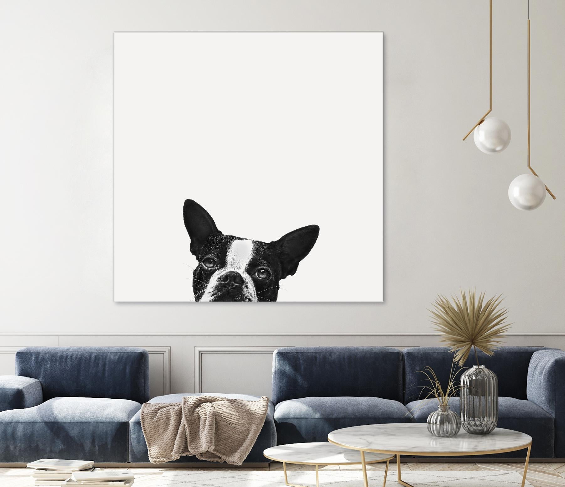 Loyalty by Jon Bertelli on GIANT ART - black,white photography, animals, dogs, humor