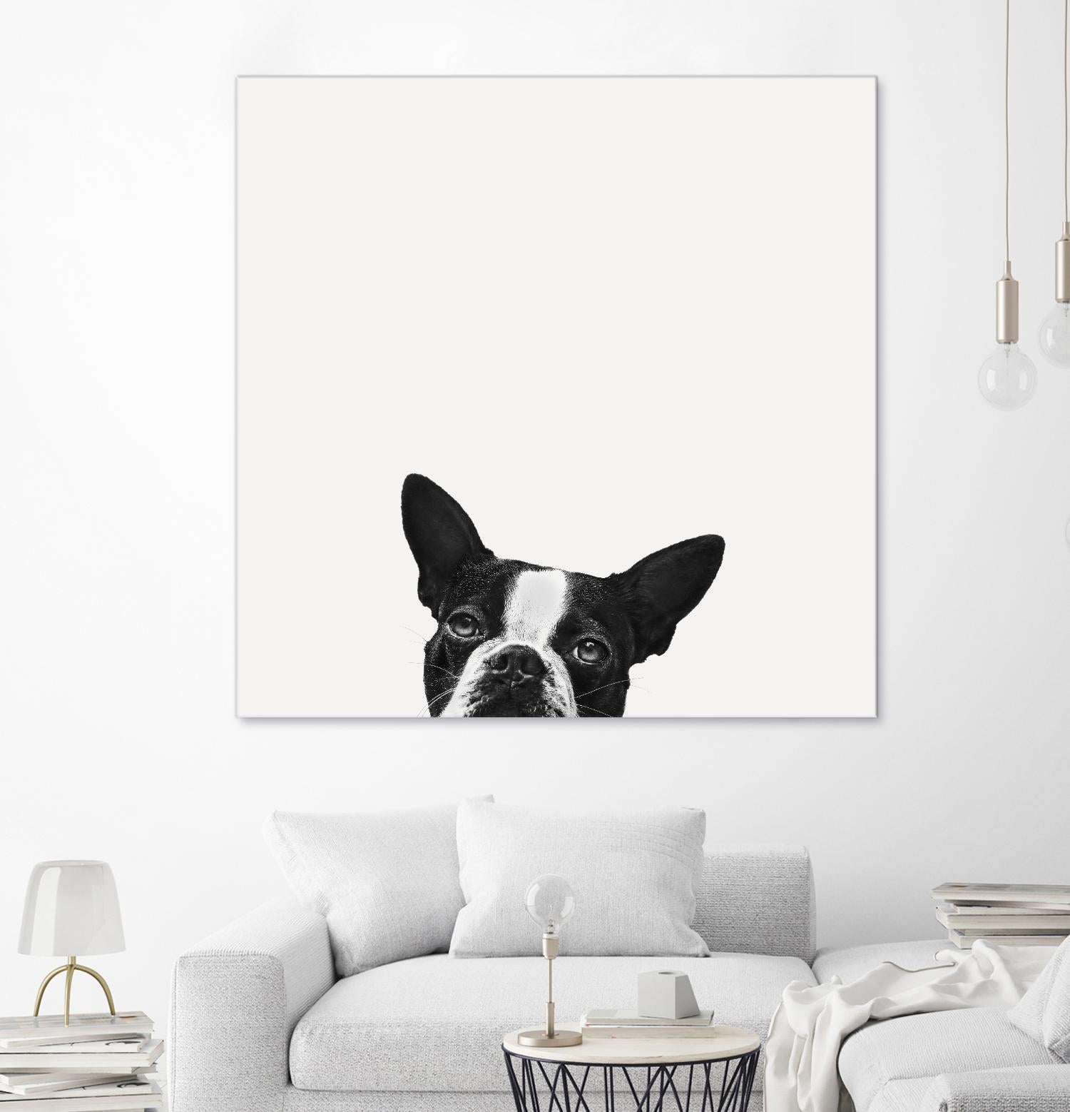 Loyalty by Jon Bertelli on GIANT ART - black,white photography, animals, dogs, humor