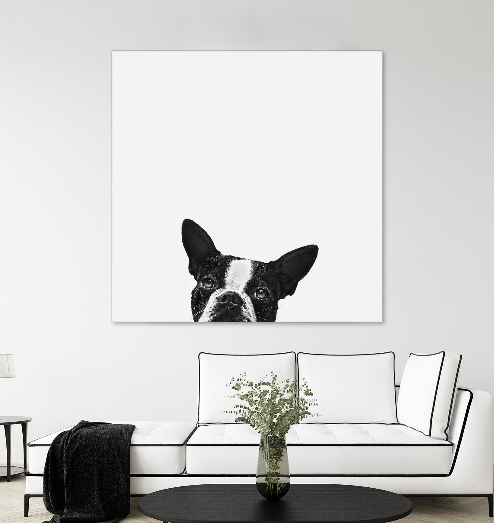Loyalty by Jon Bertelli on GIANT ART - black,white photography, animals, dogs, humor