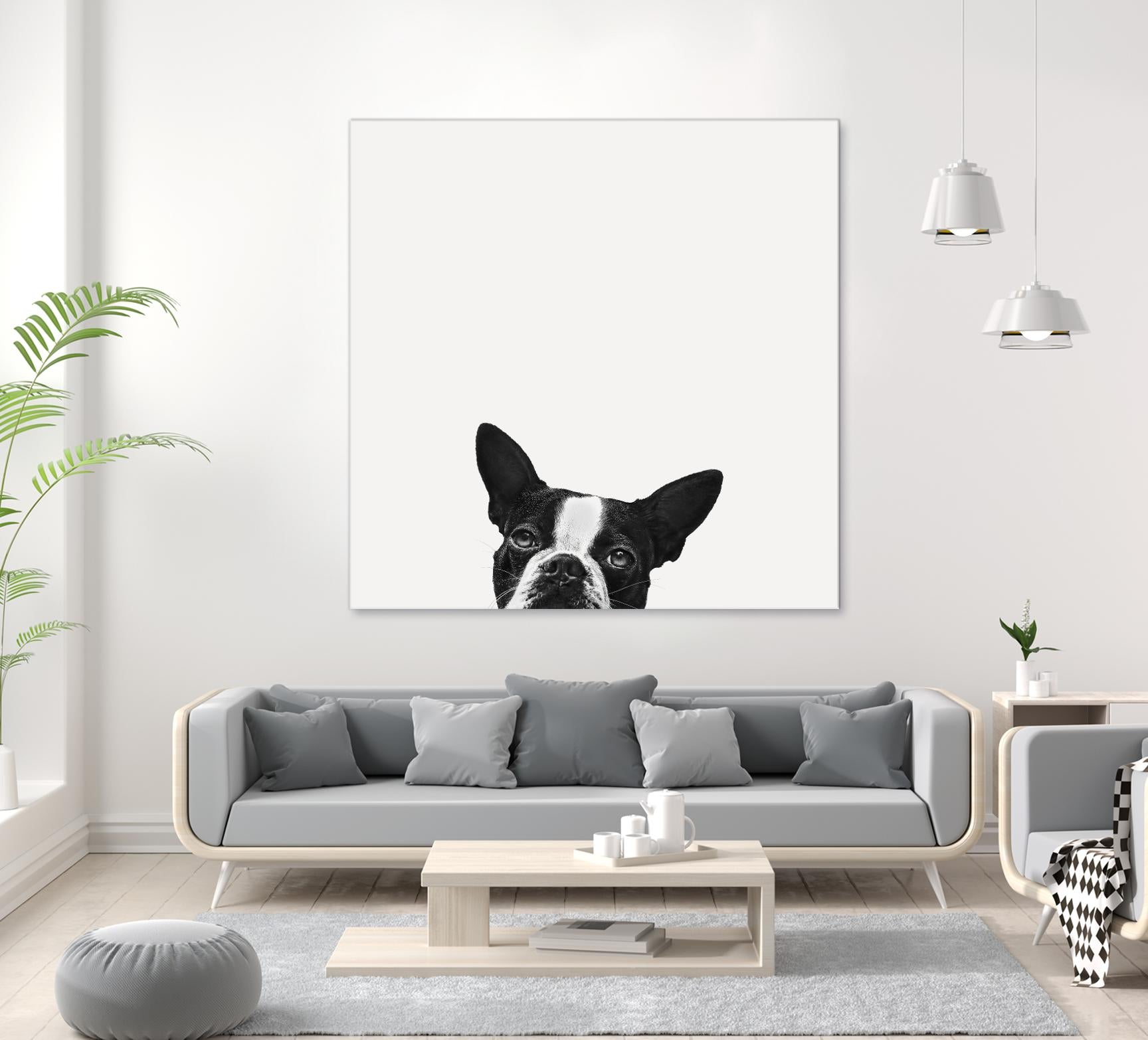 Loyalty by Jon Bertelli on GIANT ART - black,white photography, animals, dogs, humor