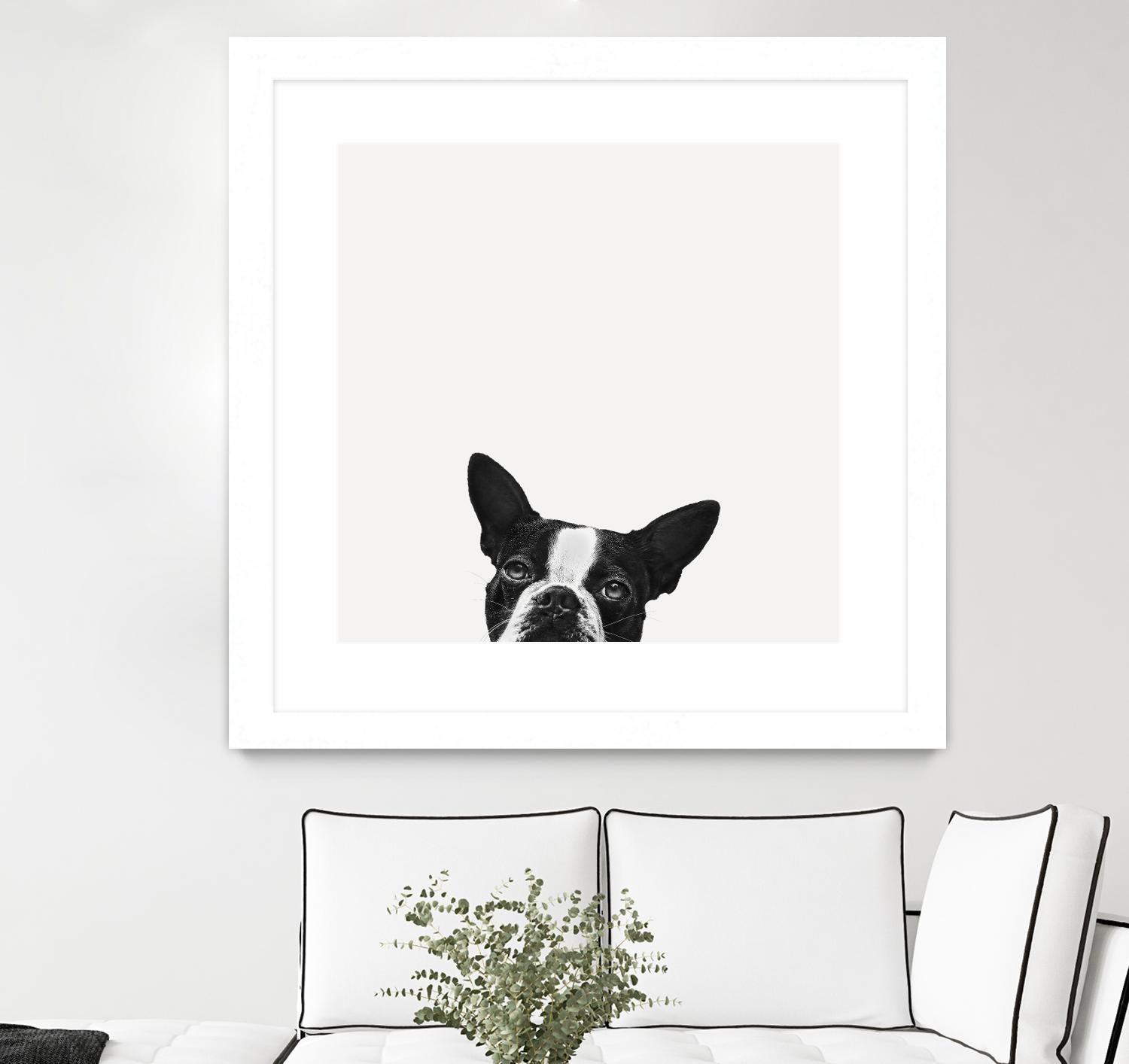 Loyalty by Jon Bertelli on GIANT ART - black,white photography, animals, dogs, humor
