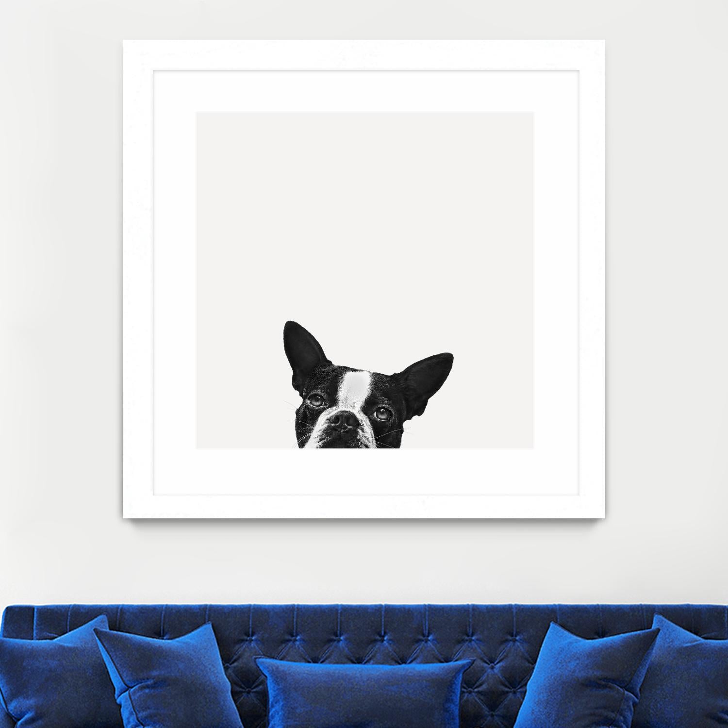 Loyalty by Jon Bertelli on GIANT ART - black,white photography, animals, dogs, humor