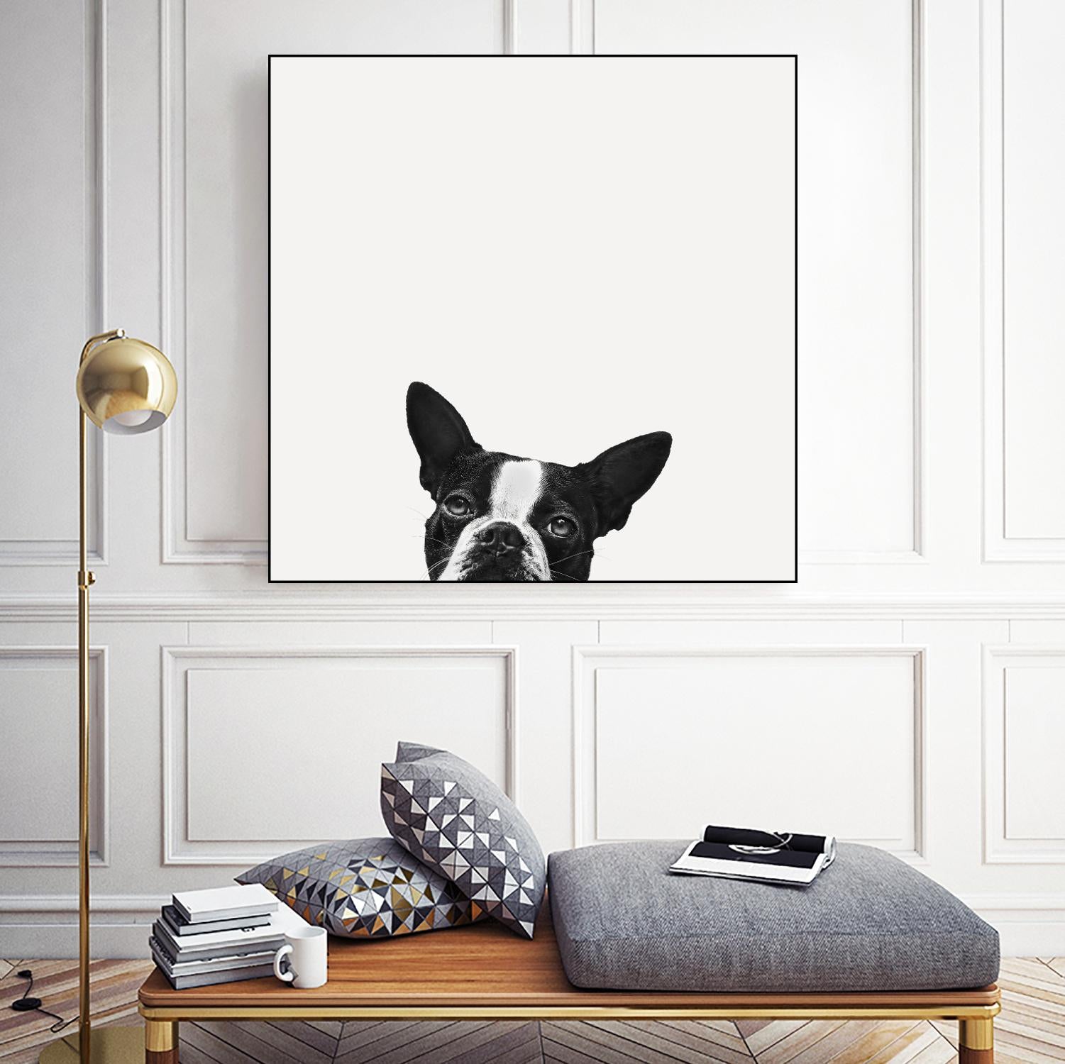 Loyalty by Jon Bertelli on GIANT ART - black,white photography, animals, dogs, humor