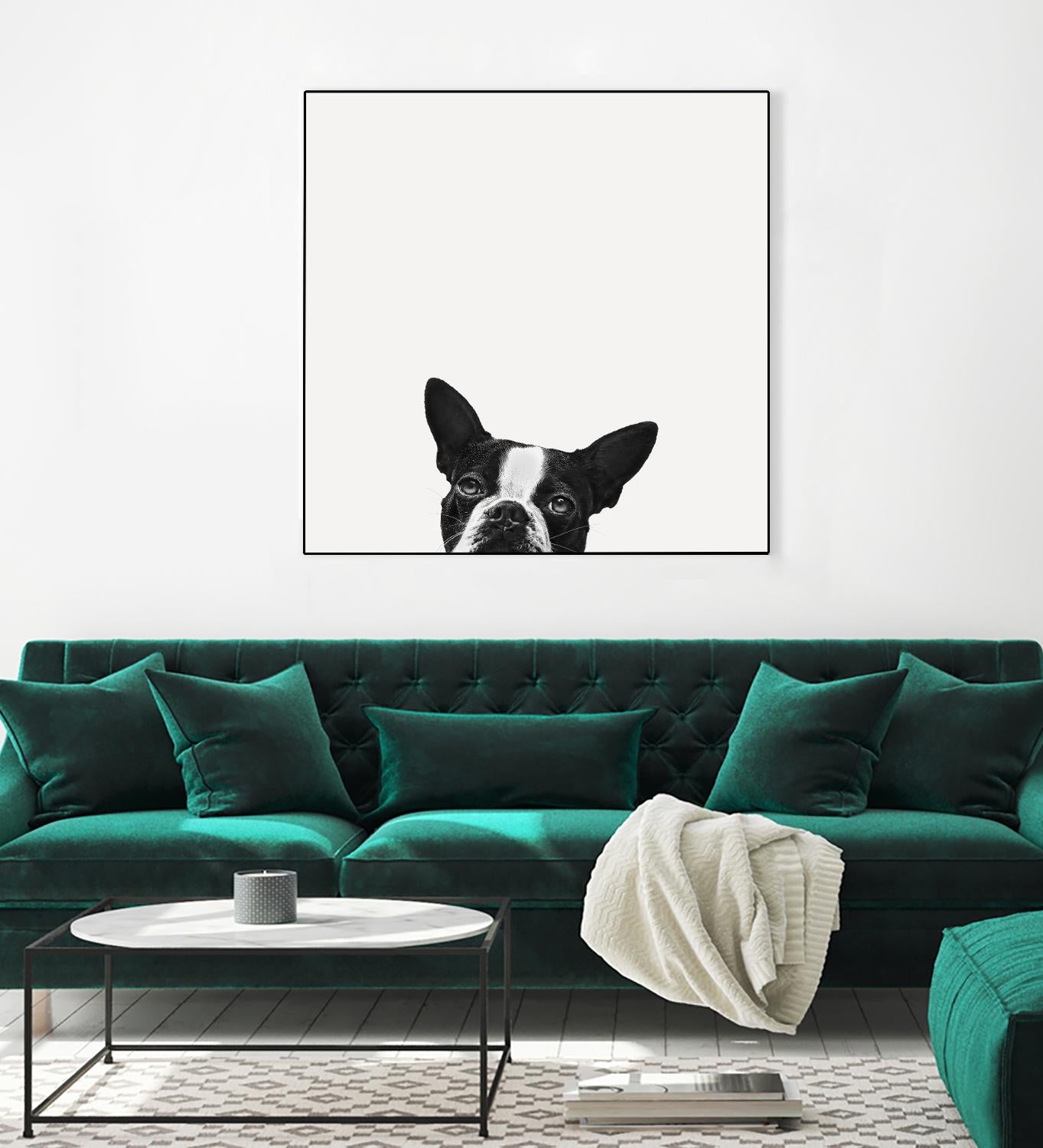 Loyalty by Jon Bertelli on GIANT ART - black,white photography, animals, dogs, humor
