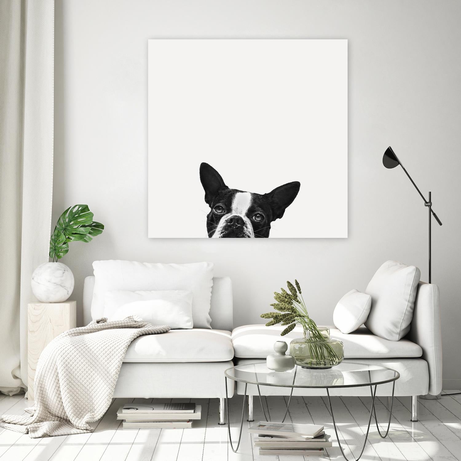 Loyalty by Jon Bertelli on GIANT ART - black,white photography, animals, dogs, humor