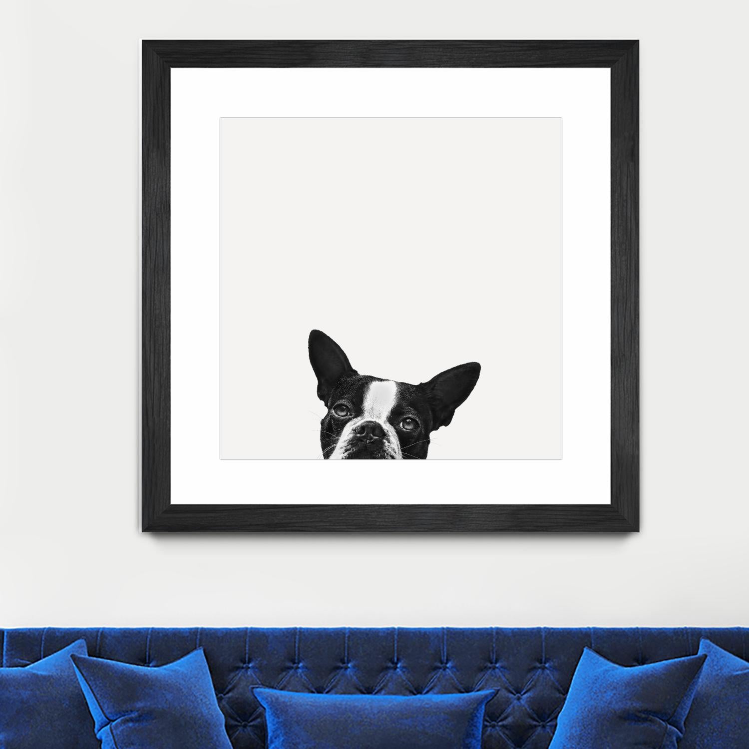 Loyalty by Jon Bertelli on GIANT ART - black,white photography, animals, dogs, humor