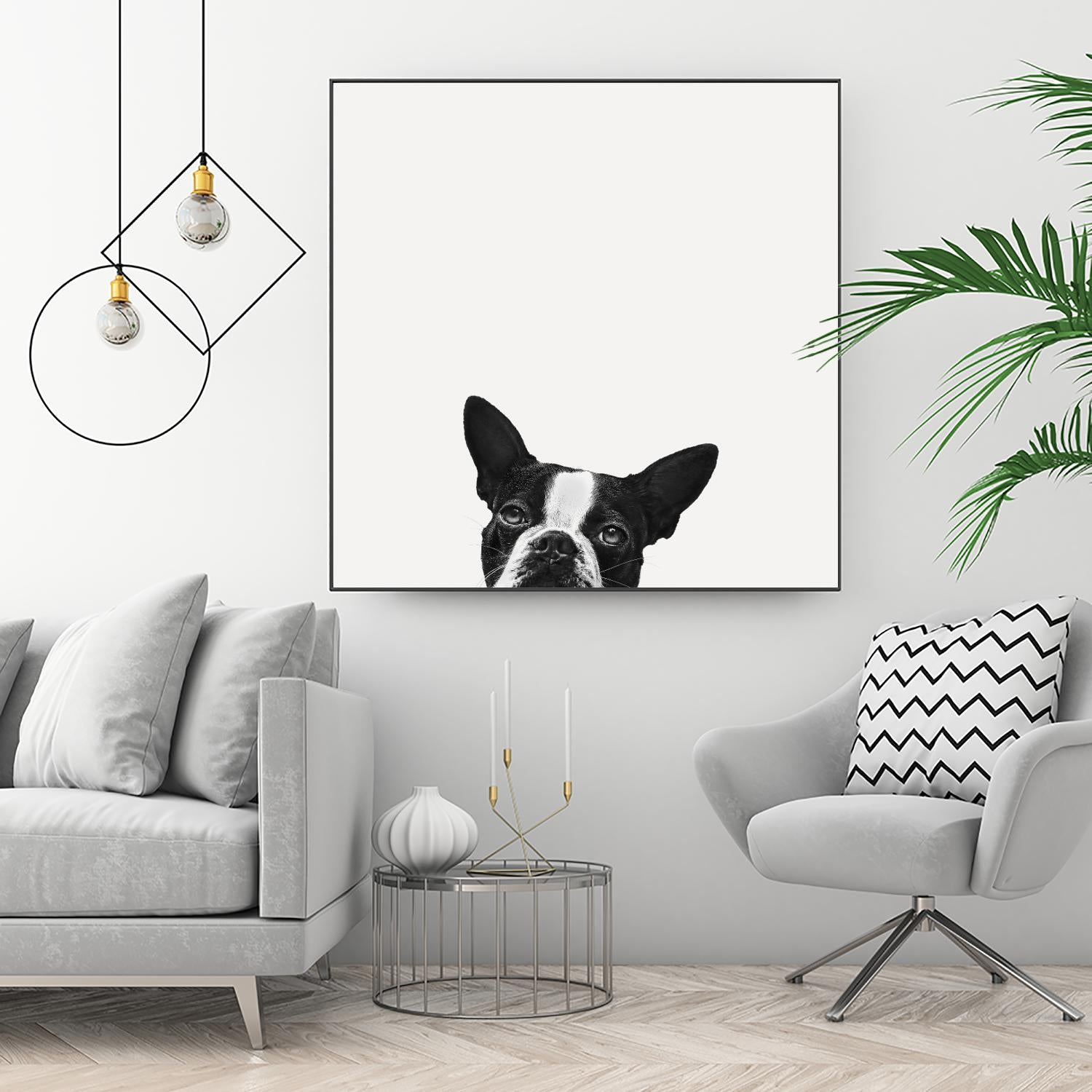 Loyalty by Jon Bertelli on GIANT ART - black,white photography, animals, dogs, humor