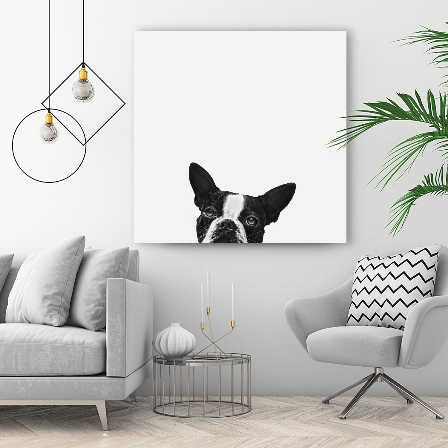 Loyalty by Jon Bertelli on GIANT ART - black,white photography, animals, dogs, humor