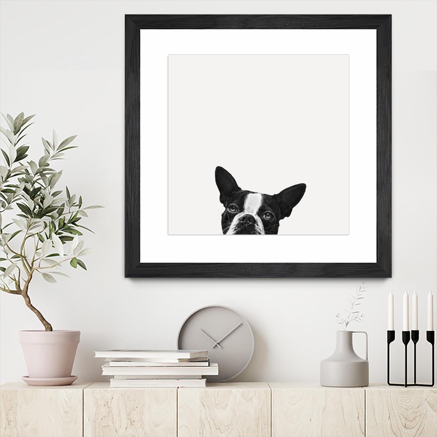 Loyalty by Jon Bertelli on GIANT ART - black,white photography, animals, dogs, humor