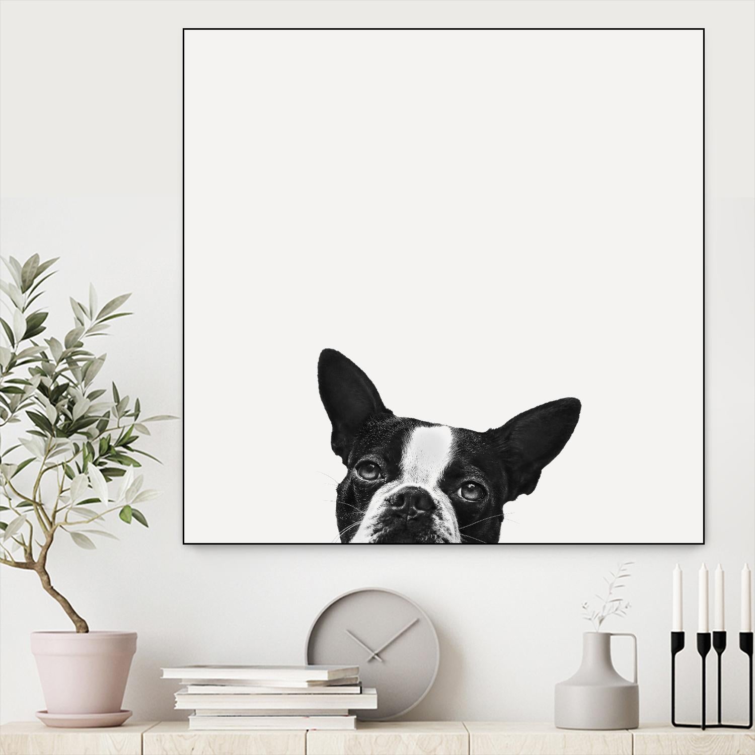 Loyalty by Jon Bertelli on GIANT ART - black,white photography, animals, dogs, humor