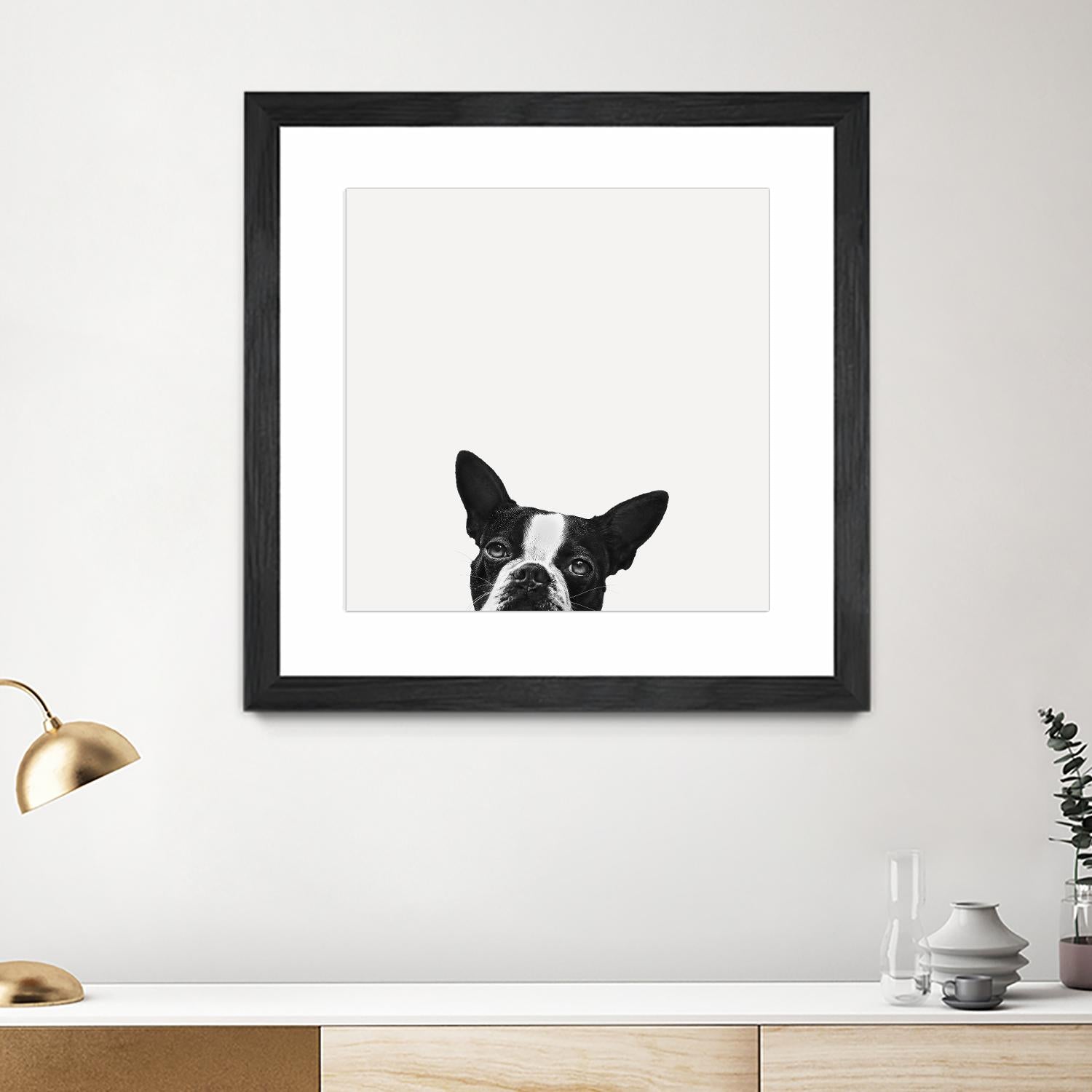 Loyalty by Jon Bertelli on GIANT ART - black,white photography, animals, dogs, humor