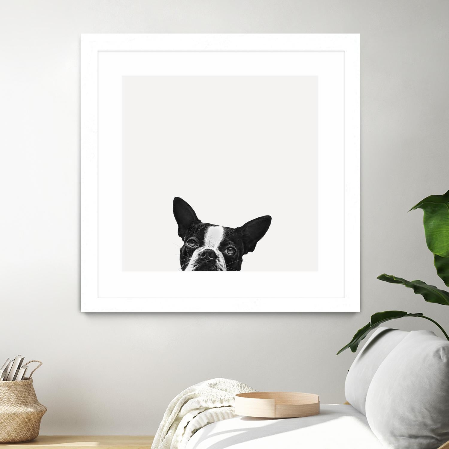 Loyalty by Jon Bertelli on GIANT ART - black,white photography, animals, dogs, humor