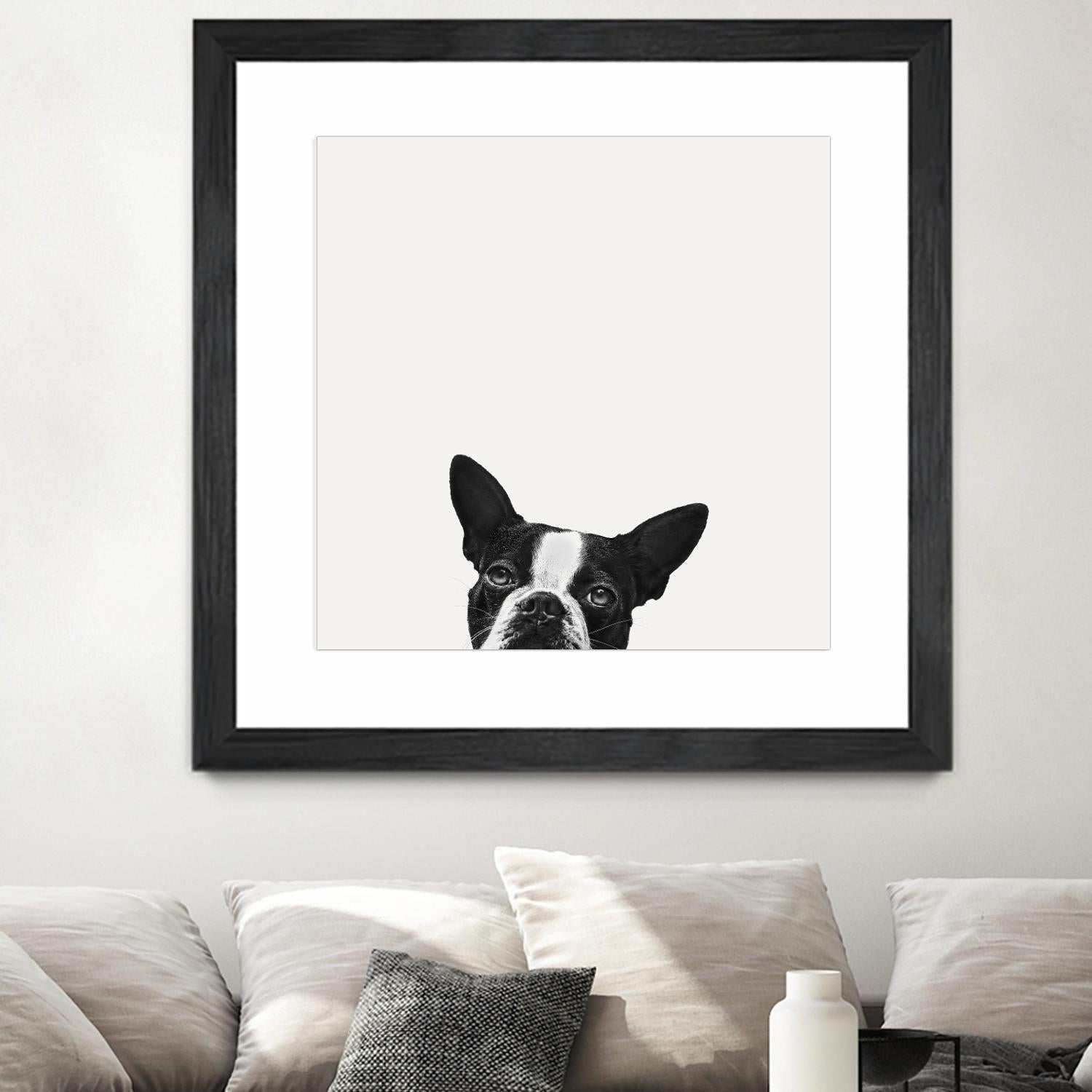 Loyalty by Jon Bertelli on GIANT ART - black,white photography, animals, dogs, humor