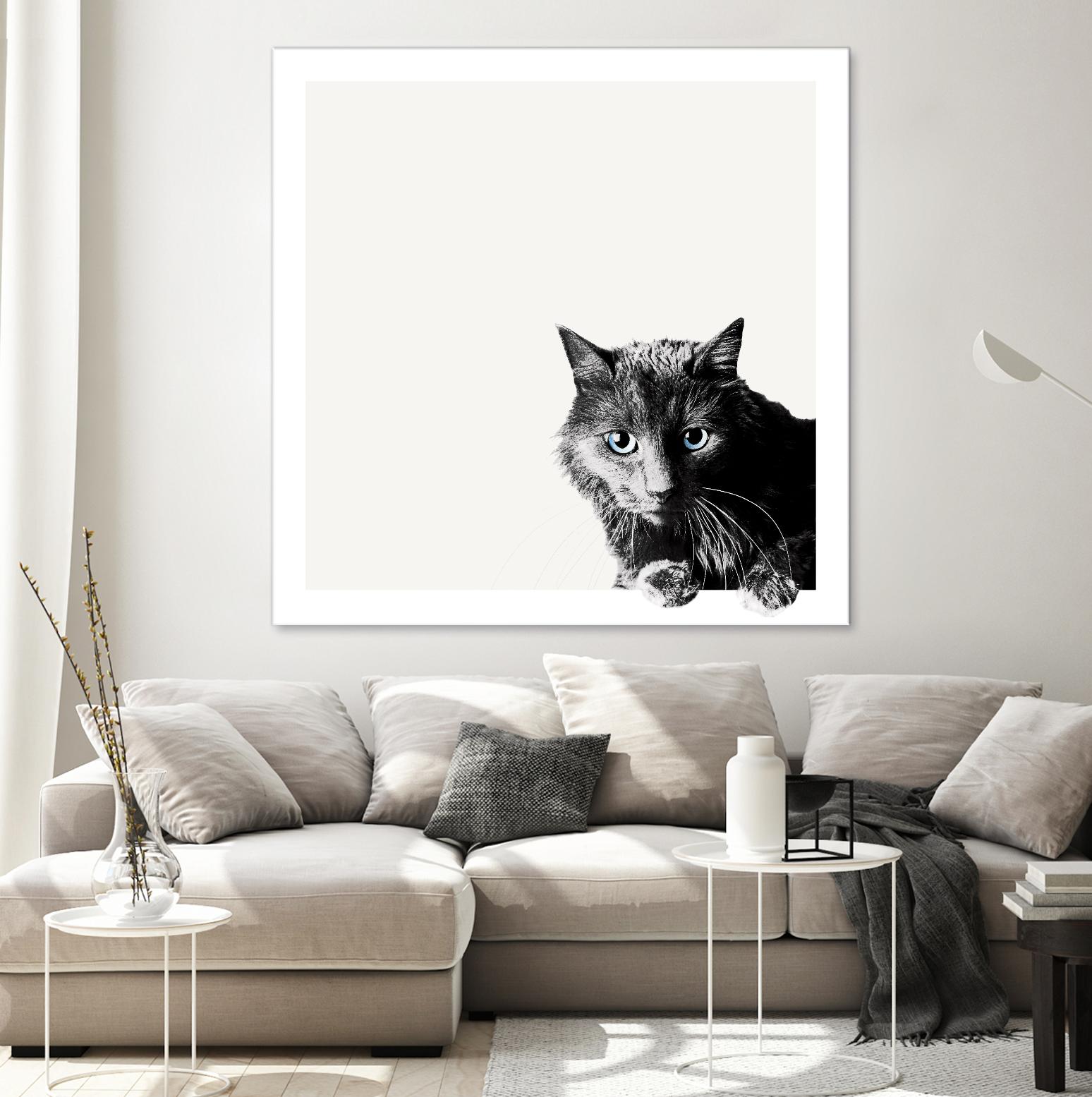 Inquisitive by Jon Bertelli on GIANT ART - multicolor animals; photography